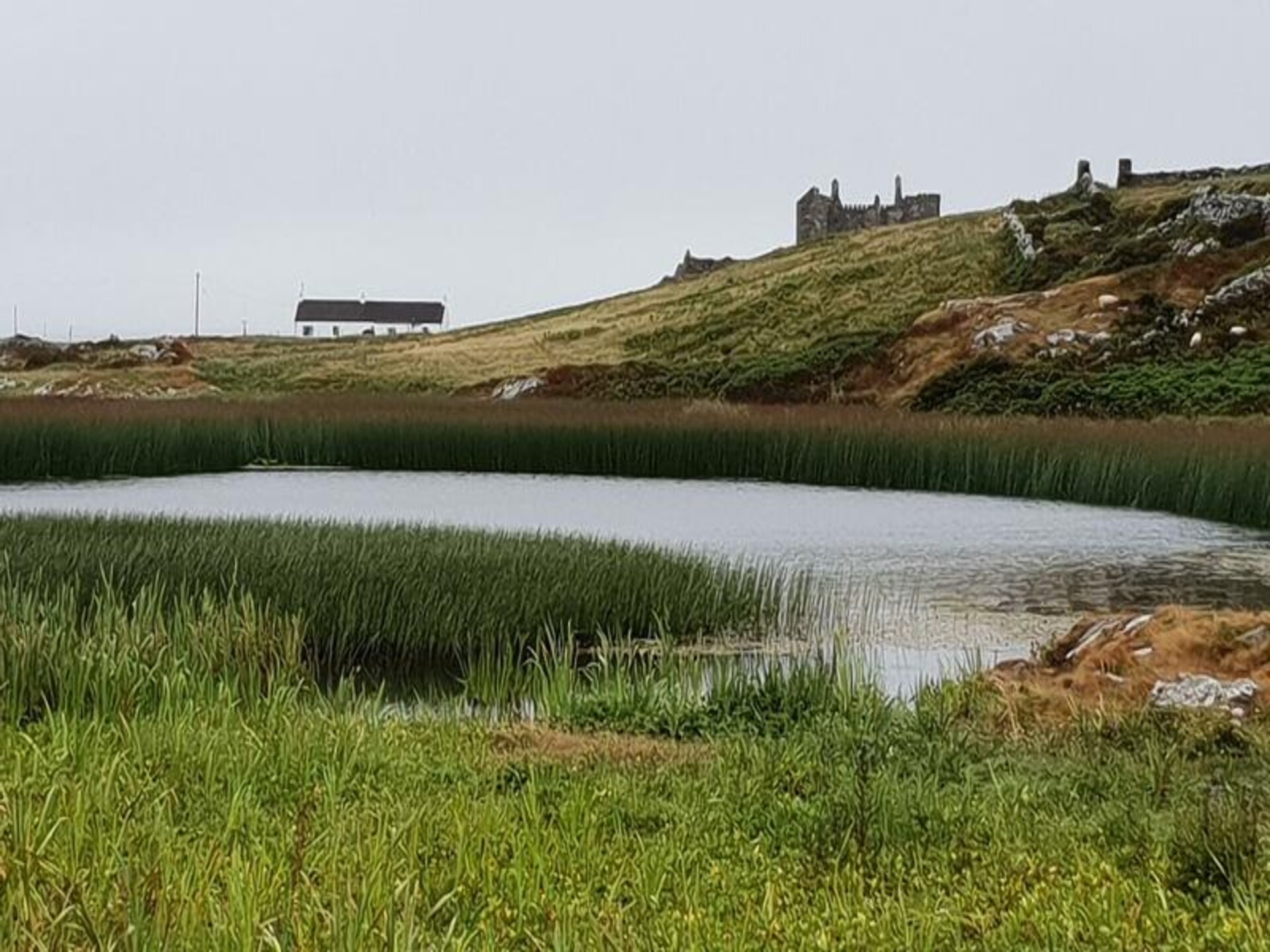 Knus vakantiehuis voor 4 personen nabij strand in Ballyconneely, Connemara - foto 27