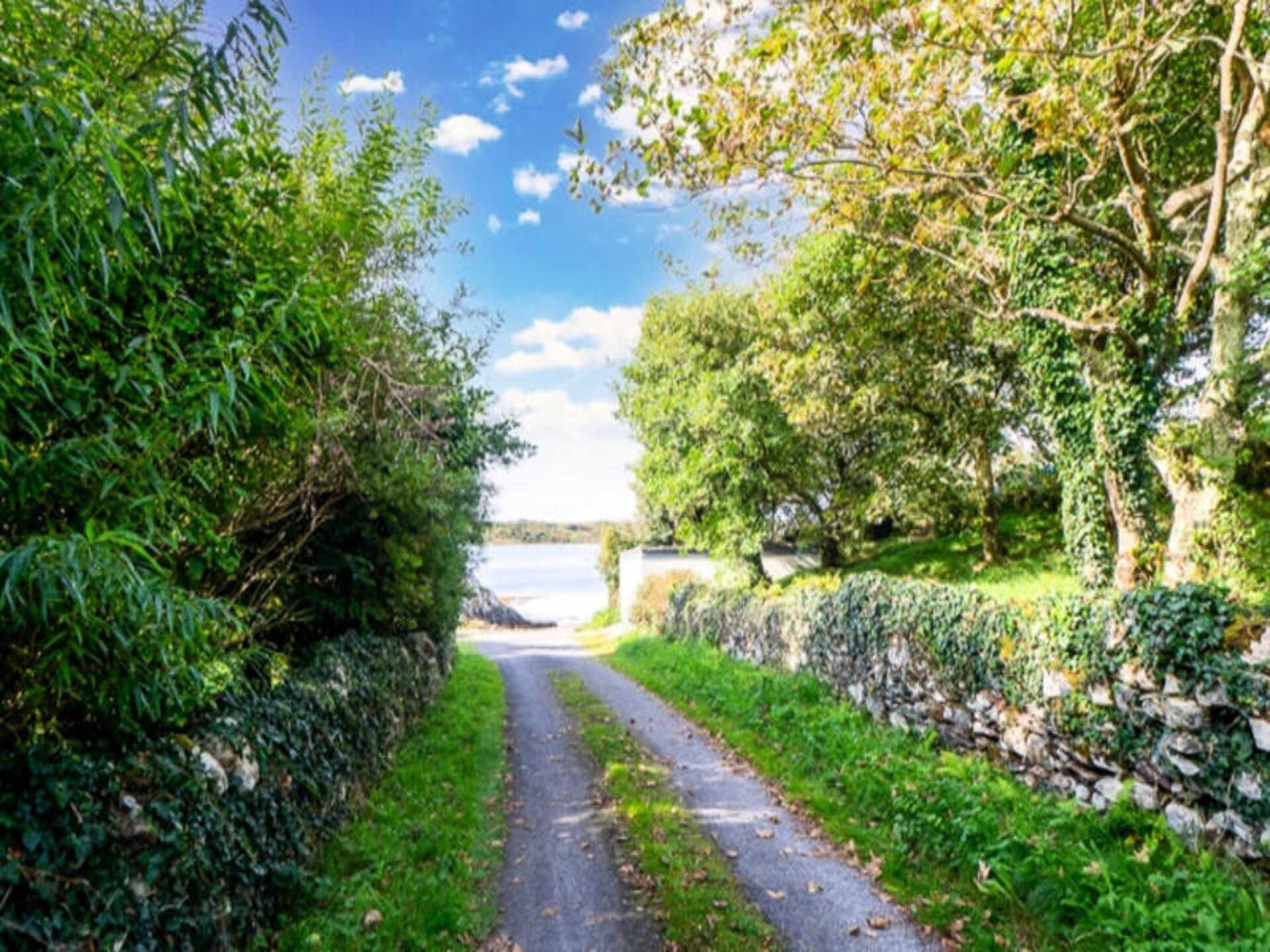 Ruim vakantiehuis in Clifden voor 8 personen met tuin, honden welkom - foto 27