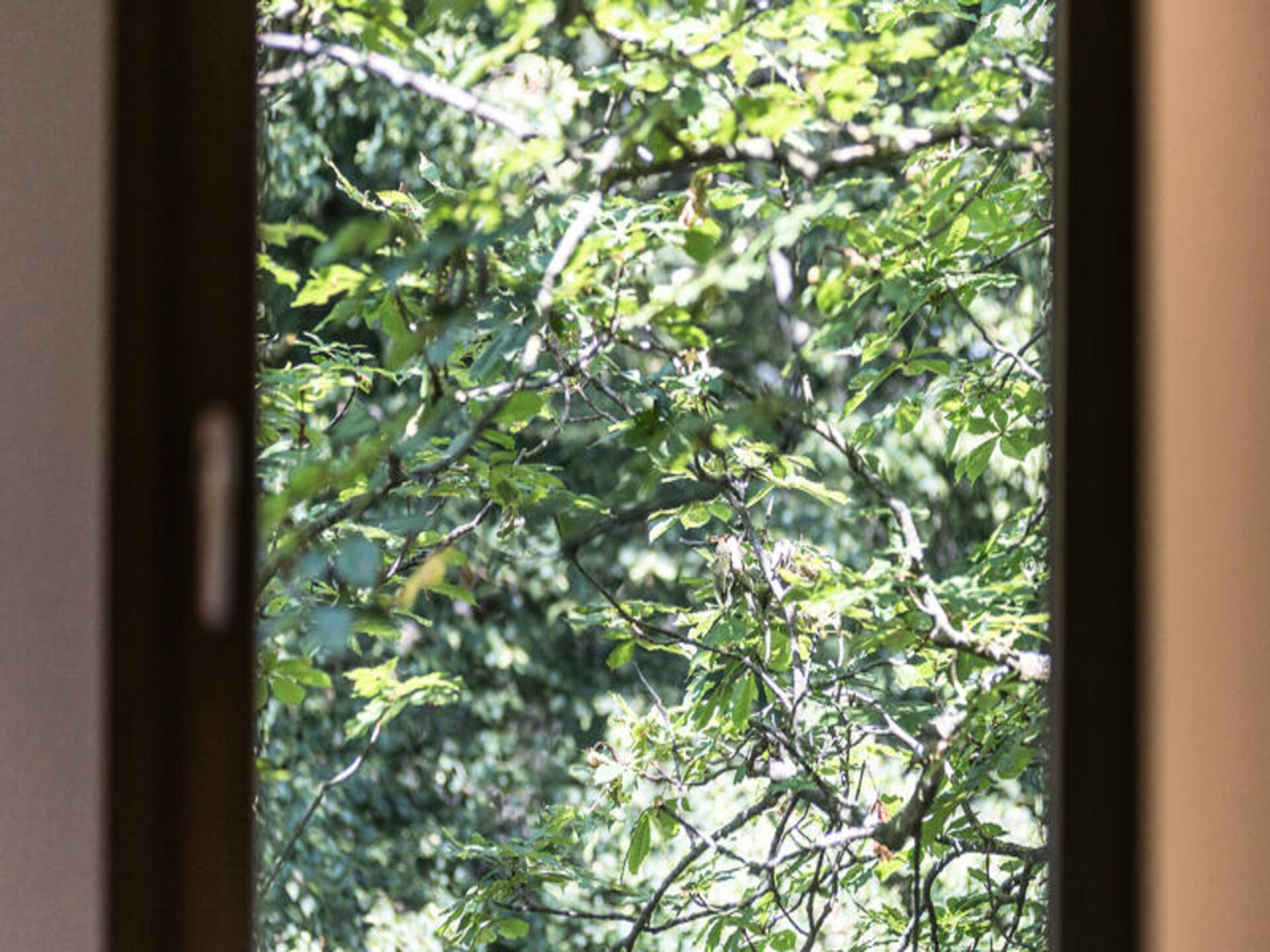 Landhuis voor 33 personen met privétuin in Sant Hilari Sacalm - foto 31