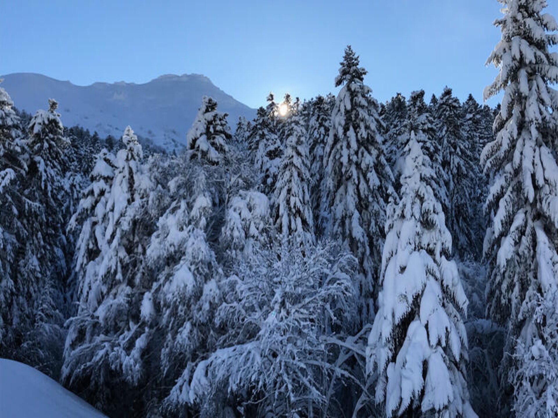 Duplex appartement Le Lioran: ski-in/ski-out voor 9 personen met panoramisch uitzicht - foto 40