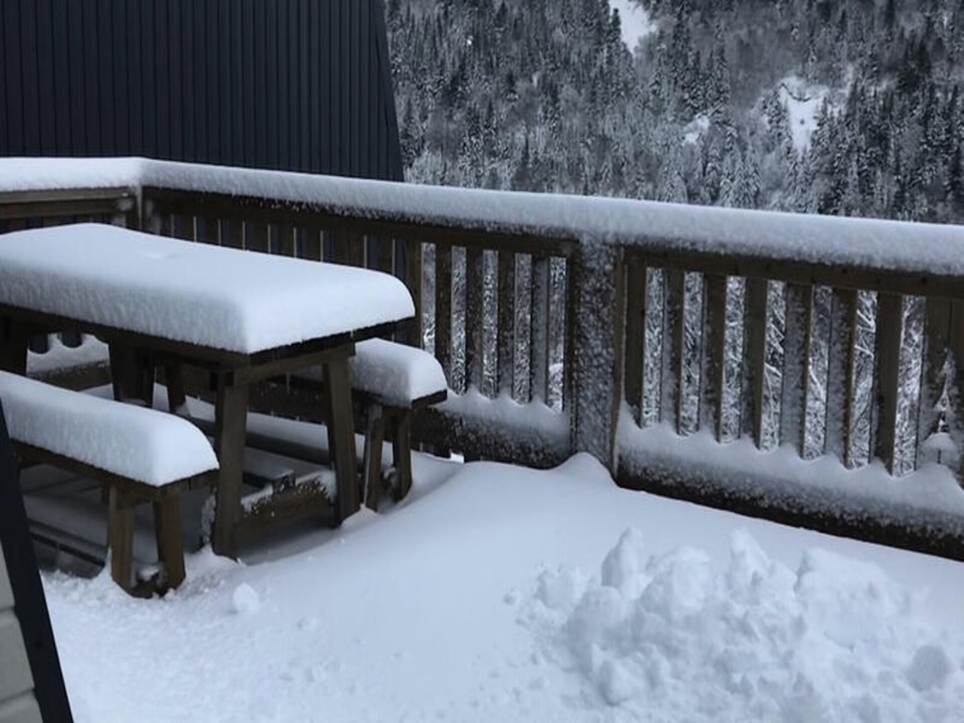 Ruim appartement op 100m van pistes Le Lioran met zuidterras en bergzicht - foto 2