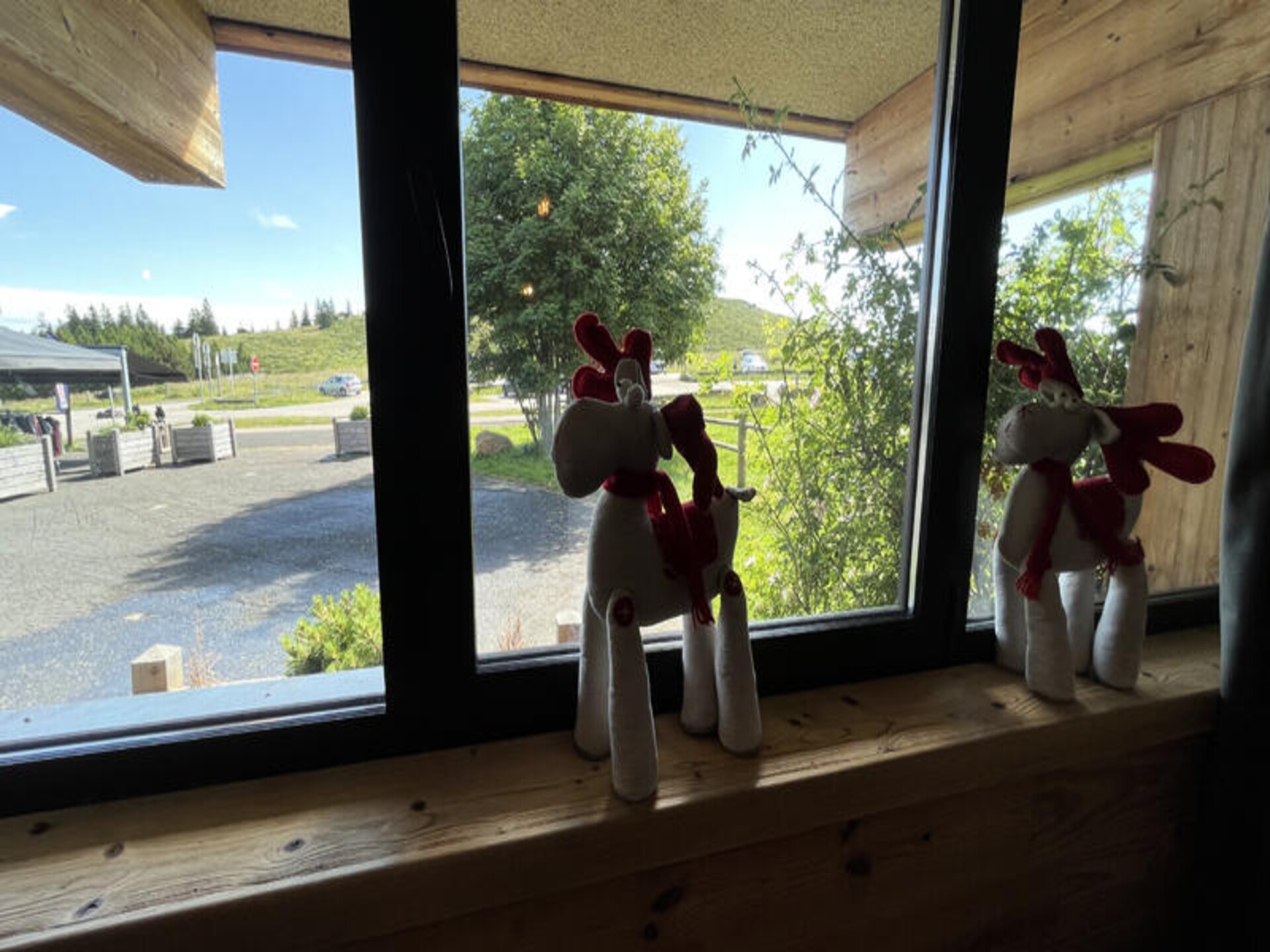 Ruime groepsaccommodatie in Albepierre-Bredons met uitzicht op Plomb du Cantal - foto 4