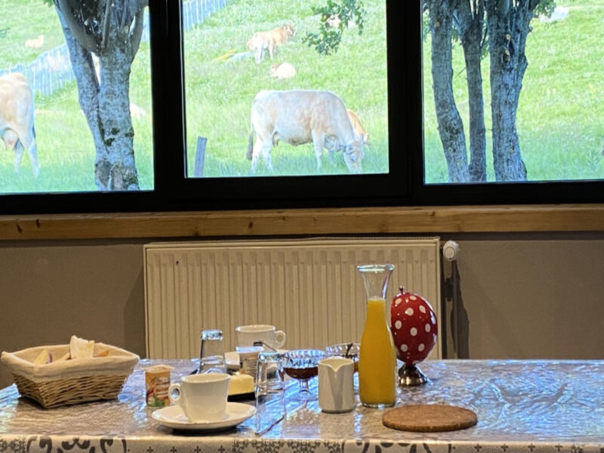 Ruime groepsaccommodatie in Albepierre-Bredons met uitzicht op Plomb du Cantal - foto 19