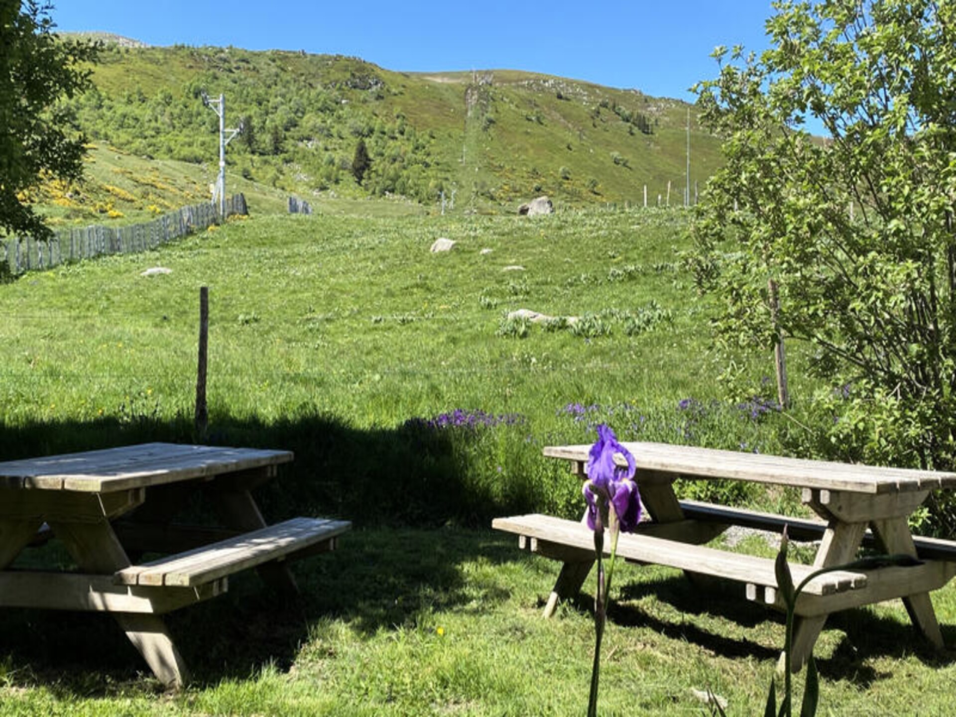 Ruime groepsaccommodatie in Albepierre-Bredons met uitzicht op Plomb du Cantal - foto 32
