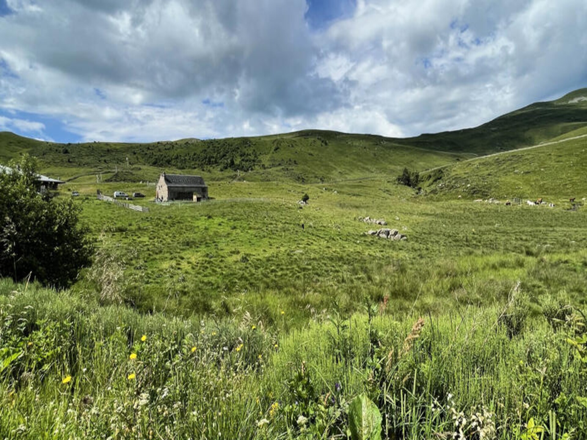 Ruime groepsaccommodatie in Albepierre-Bredons met uitzicht op Plomb du Cantal - foto 40