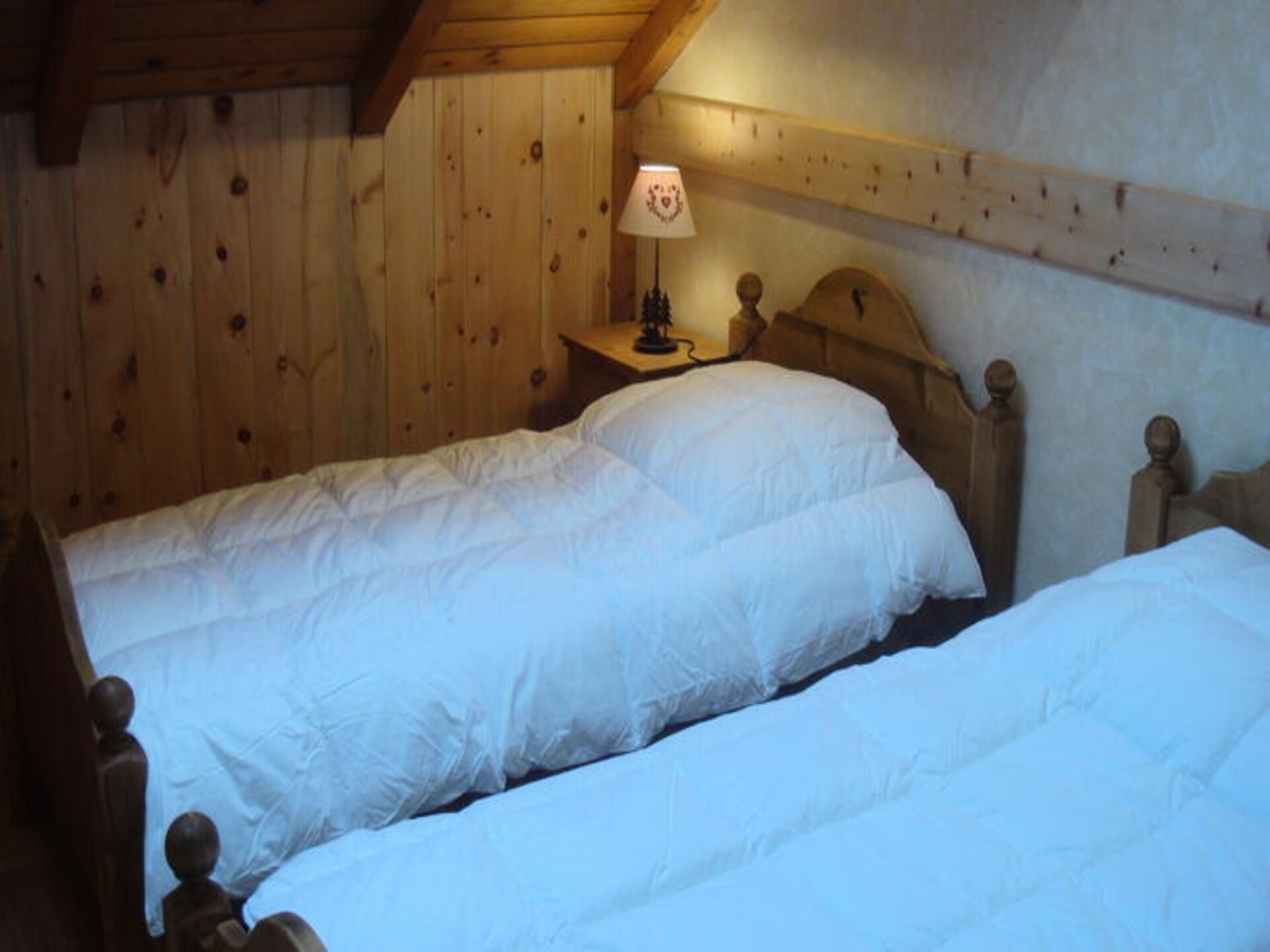Duplex appartement op 300m van de lift in Valloire met tuin - foto 9