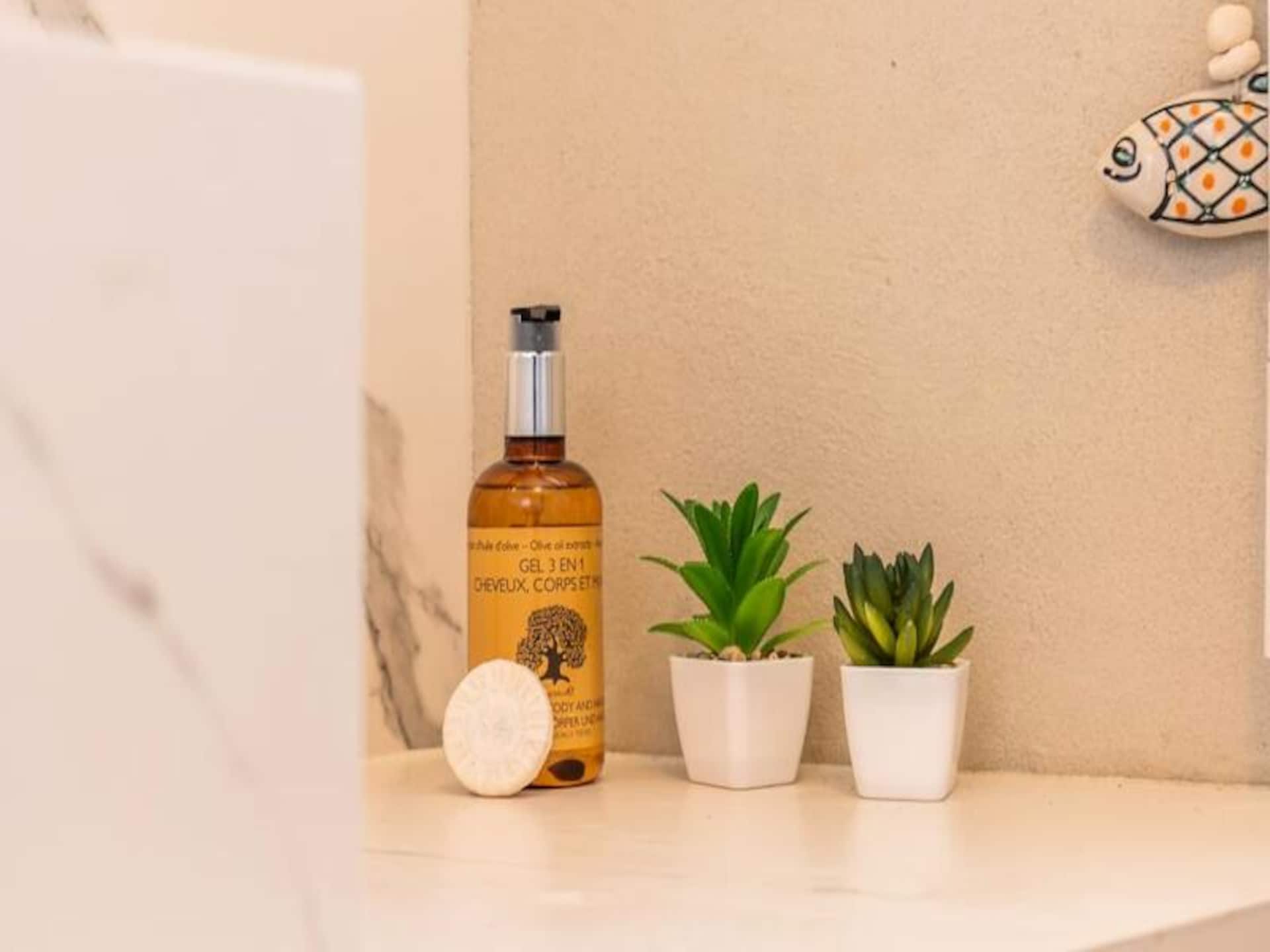 Rooftop appartement in Cannes met dakterras, op 2 minuten van het strand - foto 17