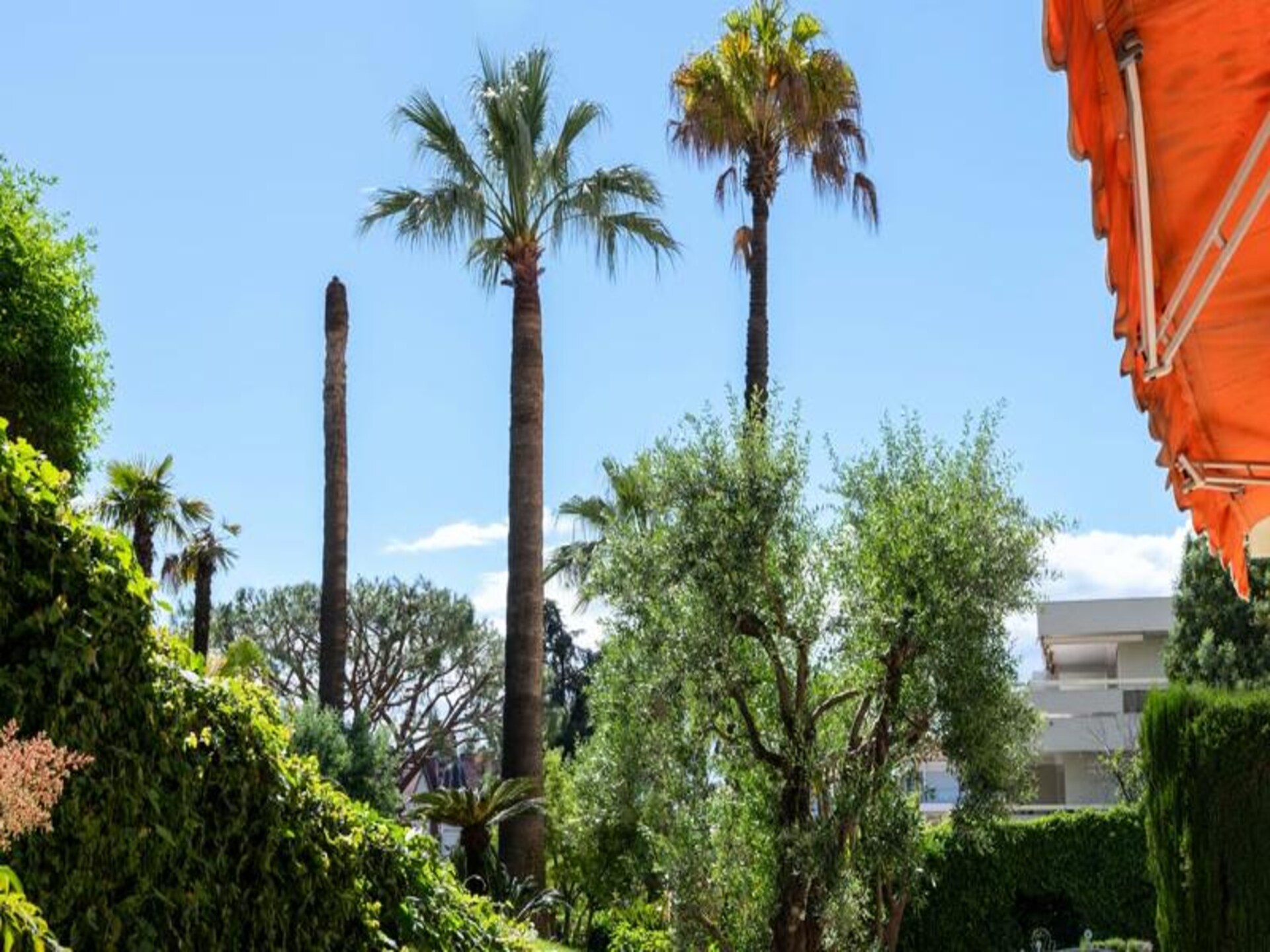 Luxe tuinappartement op 4 minuten van La Croisette en het strand - foto 7