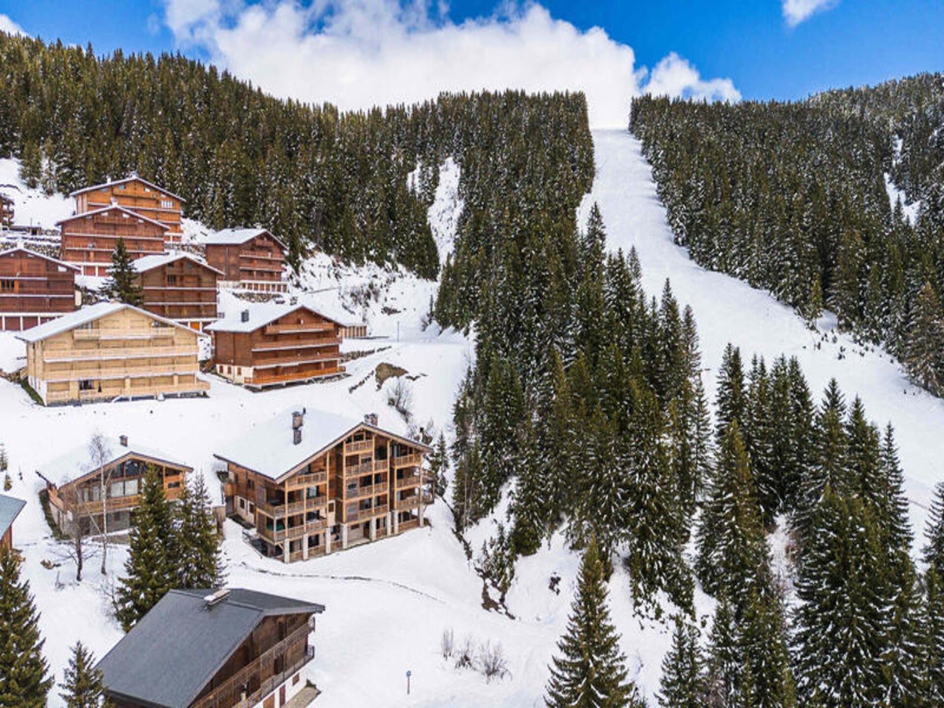 Luxe chaletappartement met sauna, jacuzzi en ski-in/ski-out in Les Saisies - foto 16