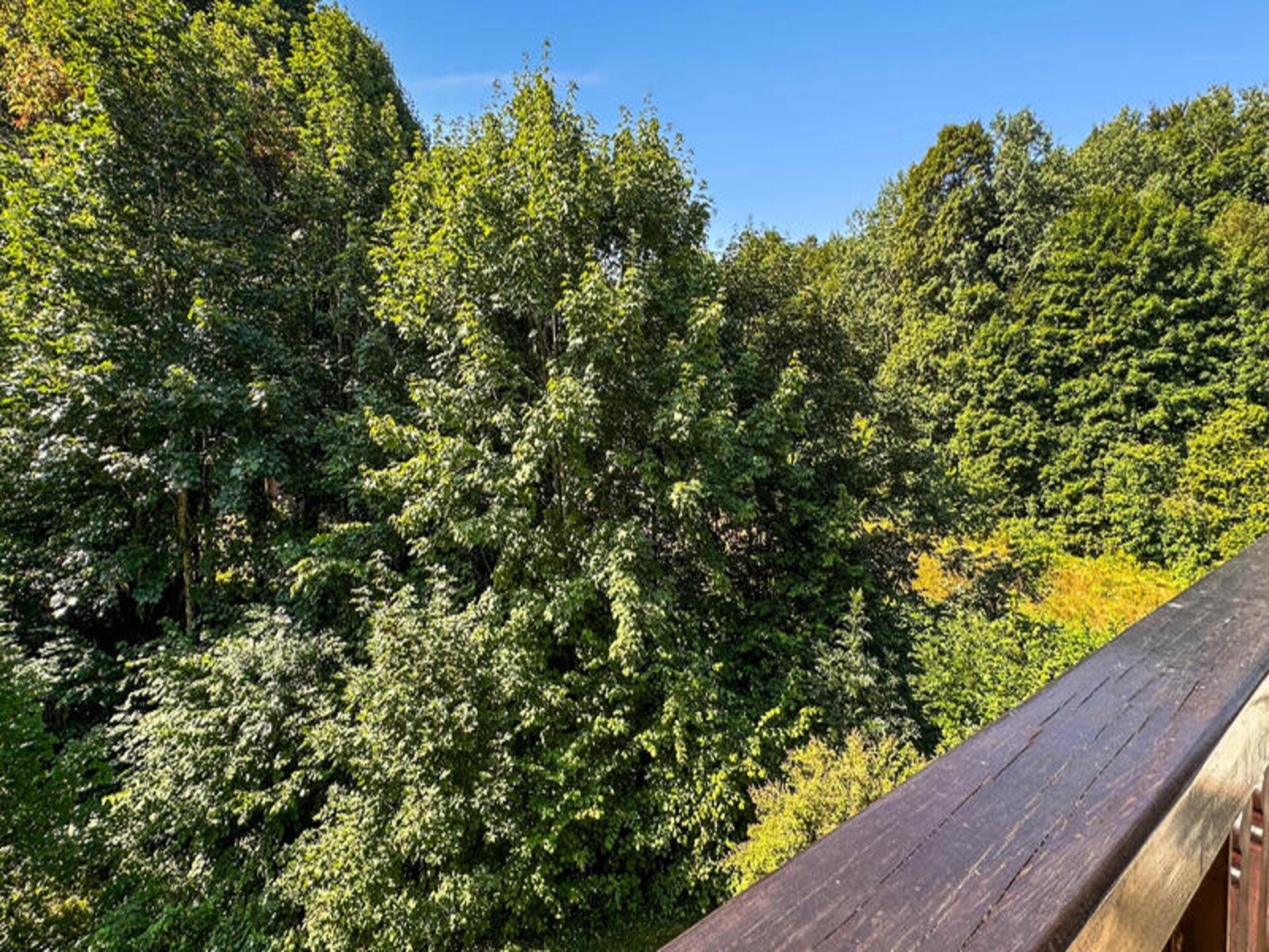 Alpenappartement in Les Carroz-d'Arâches met zuidbalkon, 50m van skibus - foto 19