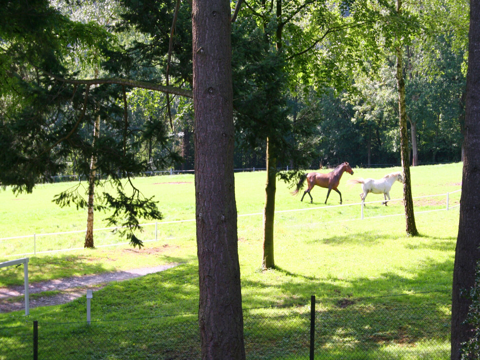 10-persoons boerderij met tuin en speeltoestellen in Fontenelle - foto 35