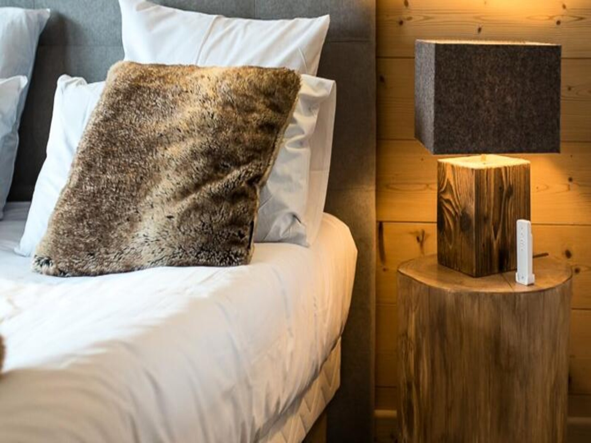 Duplex voor 10 personen in Saint-Sorlin-d'Arves met panoramisch uitzicht op de Aiguilles - foto 19