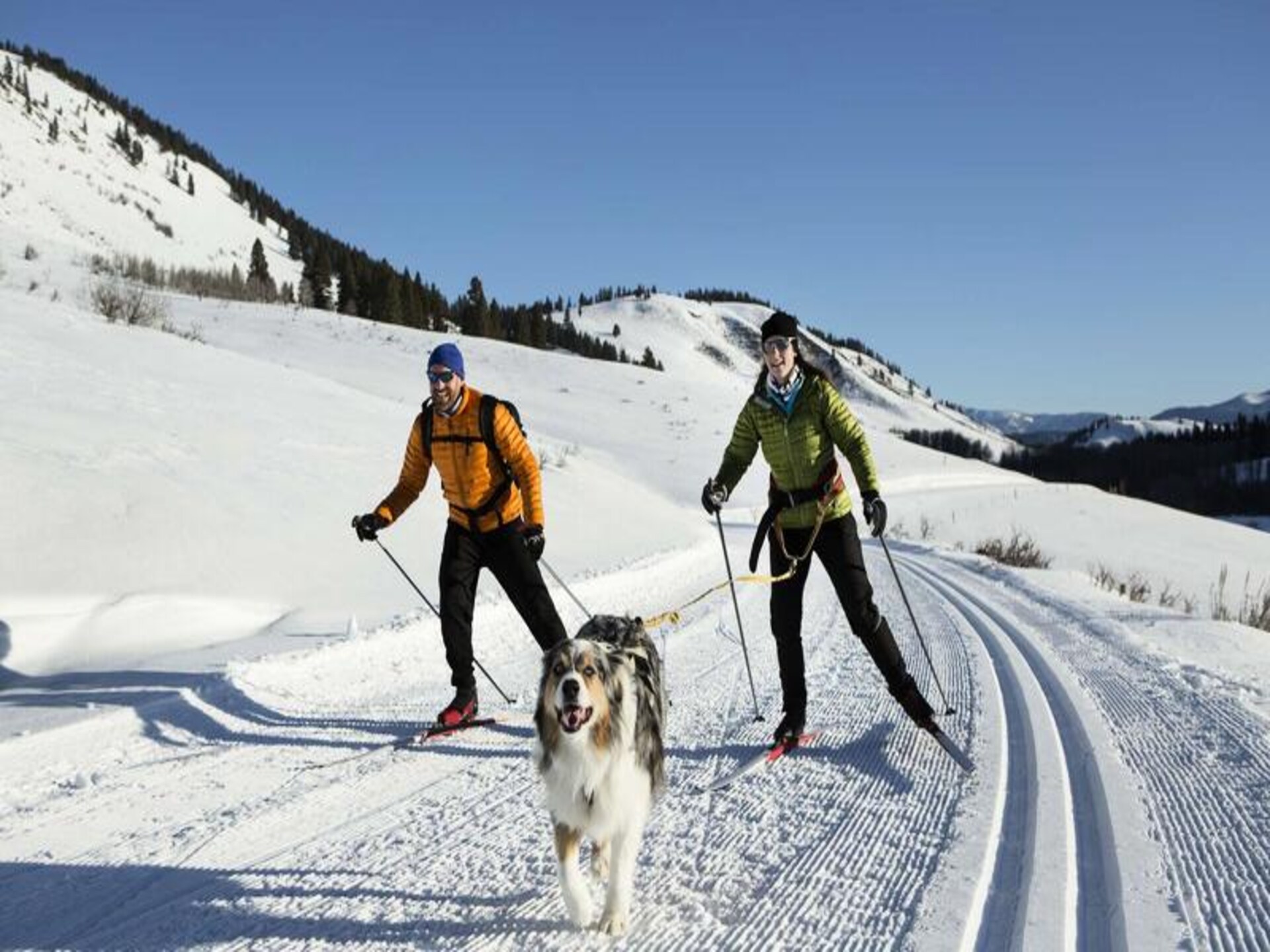 Ruim 4-slaapkamerappartement op 50m van de piste in Hauteluce - foto 15