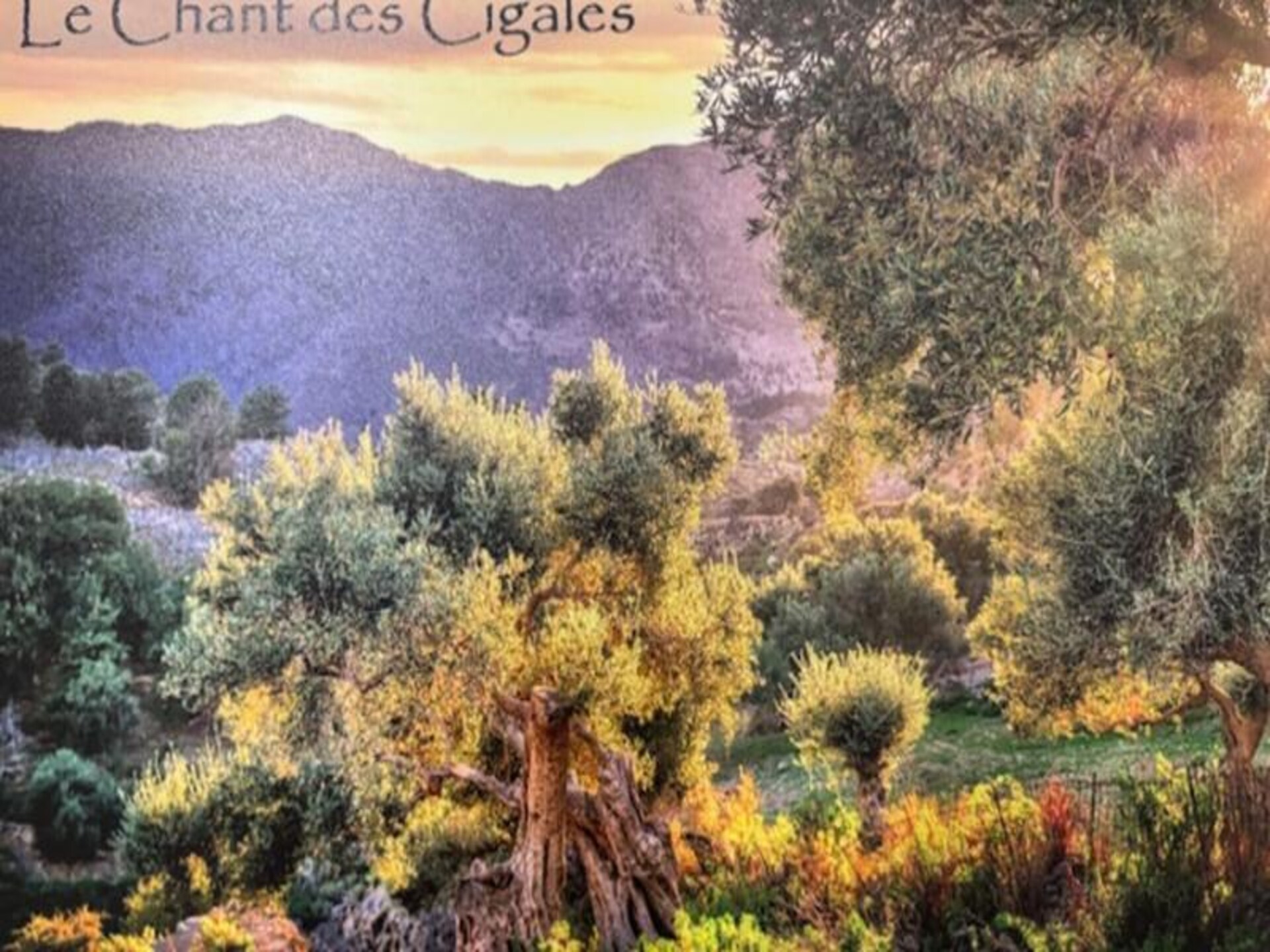 Elegant appartement in historisch L'Isle-sur-la-Sorgue, vlakbij Fontaine-de-Vaucluse - foto 16