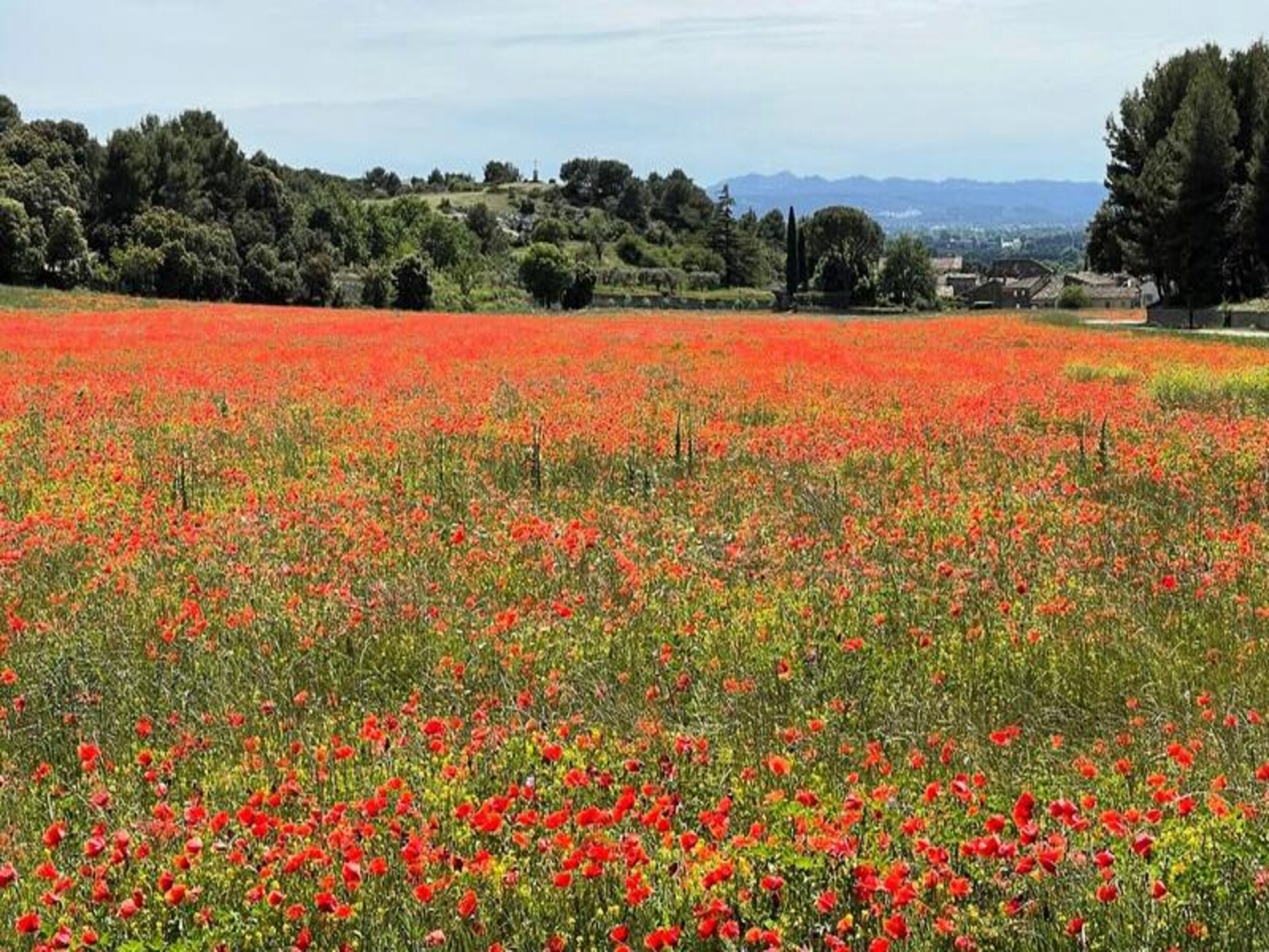 Fleurs De Provence: Stijlvol appartement in hartje L'Isle-sur-la-Sorgue - foto 16