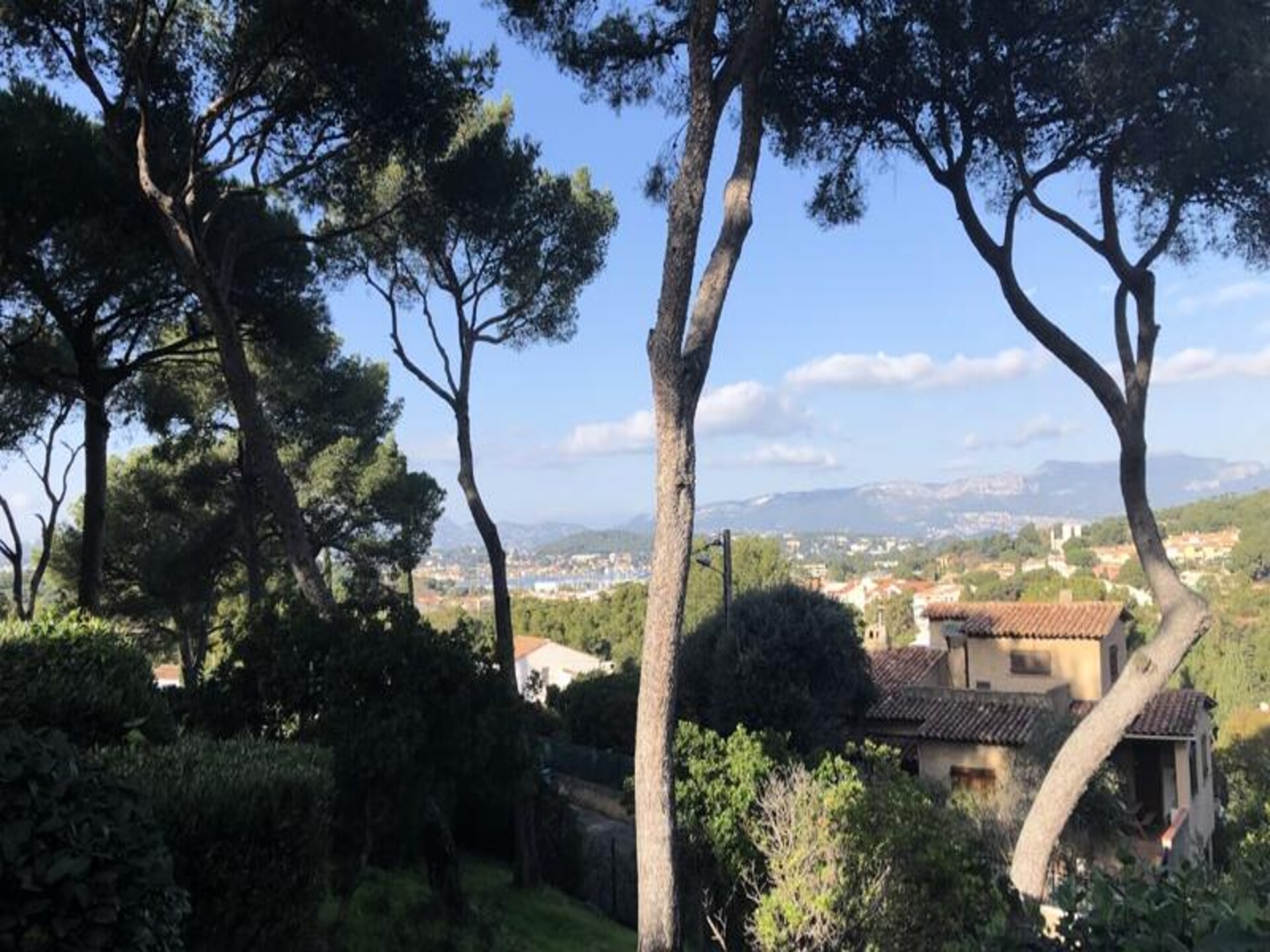 Panoramisch zeezicht appartement voor 6 personen met zwembad in Saint-Mandrier - foto 32
