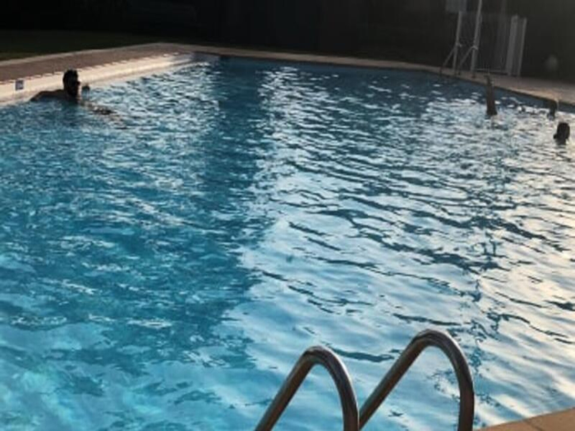 Panoramisch zeezicht appartement voor 6 personen met zwembad in Saint-Mandrier - foto 45