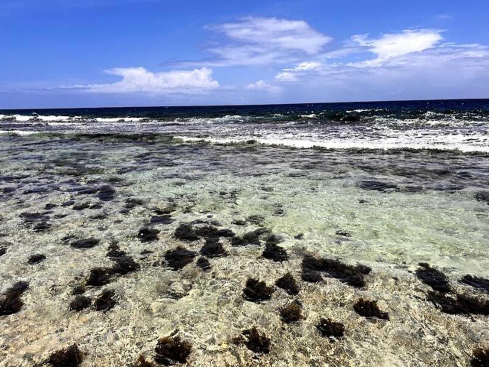 Strandhuis Fare Vainina aan de lagune van Moorea – 120 m² voor 6 personen - foto 26