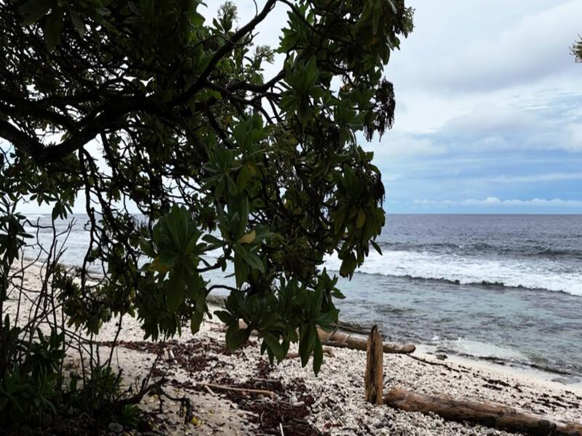 Strandhuis Fare Vainina aan de lagune van Moorea – 120 m² voor 6 personen - foto 29