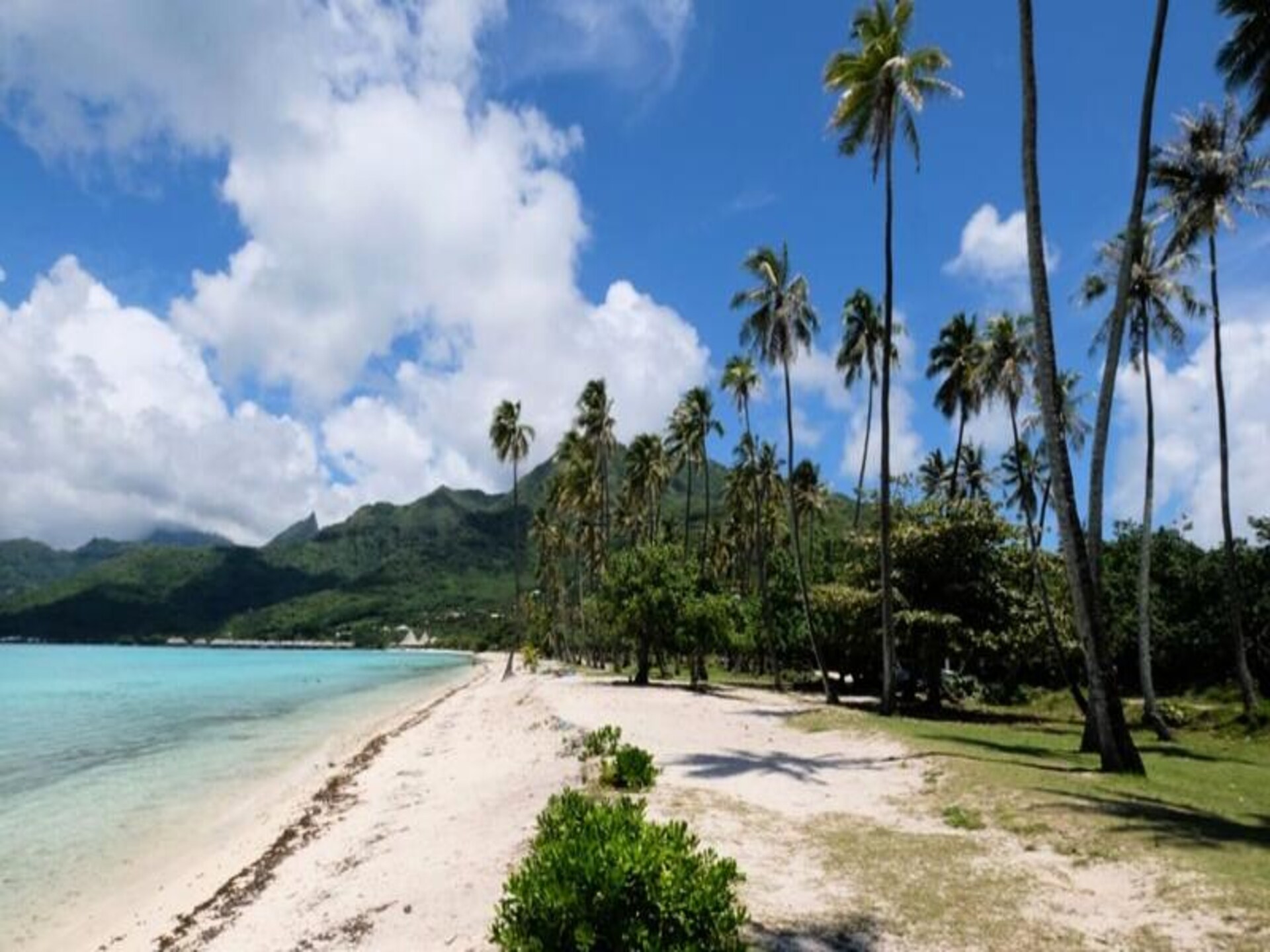 Strandhuis Fare Vainina aan de lagune van Moorea – 120 m² voor 6 personen - foto 33