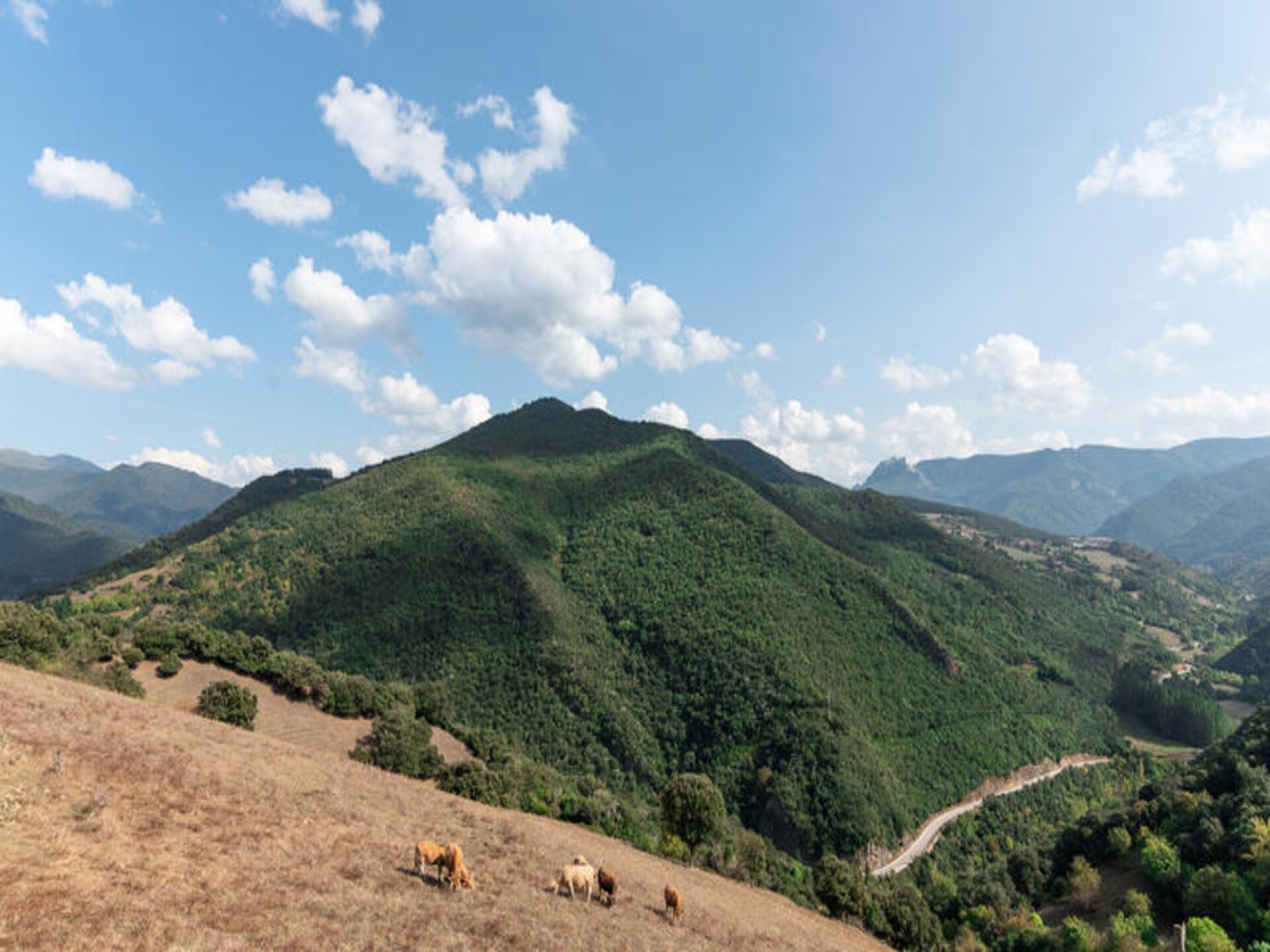 Authentiek bergdorpje met zwembad en uitzicht op de Picos de Europa - foto 18