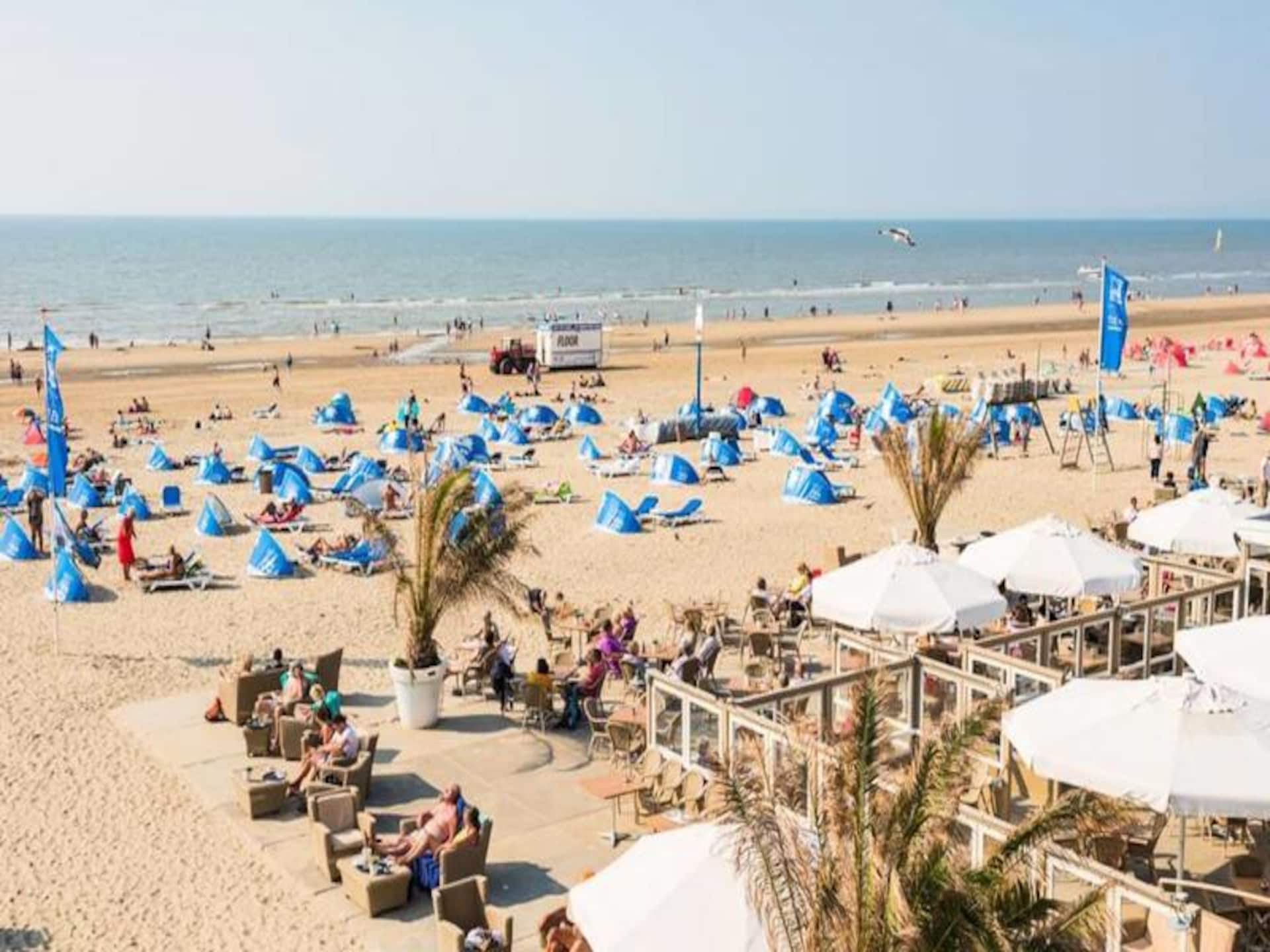Knus appartement in Zandvoort, vlakbij strand en duinen - foto 22
