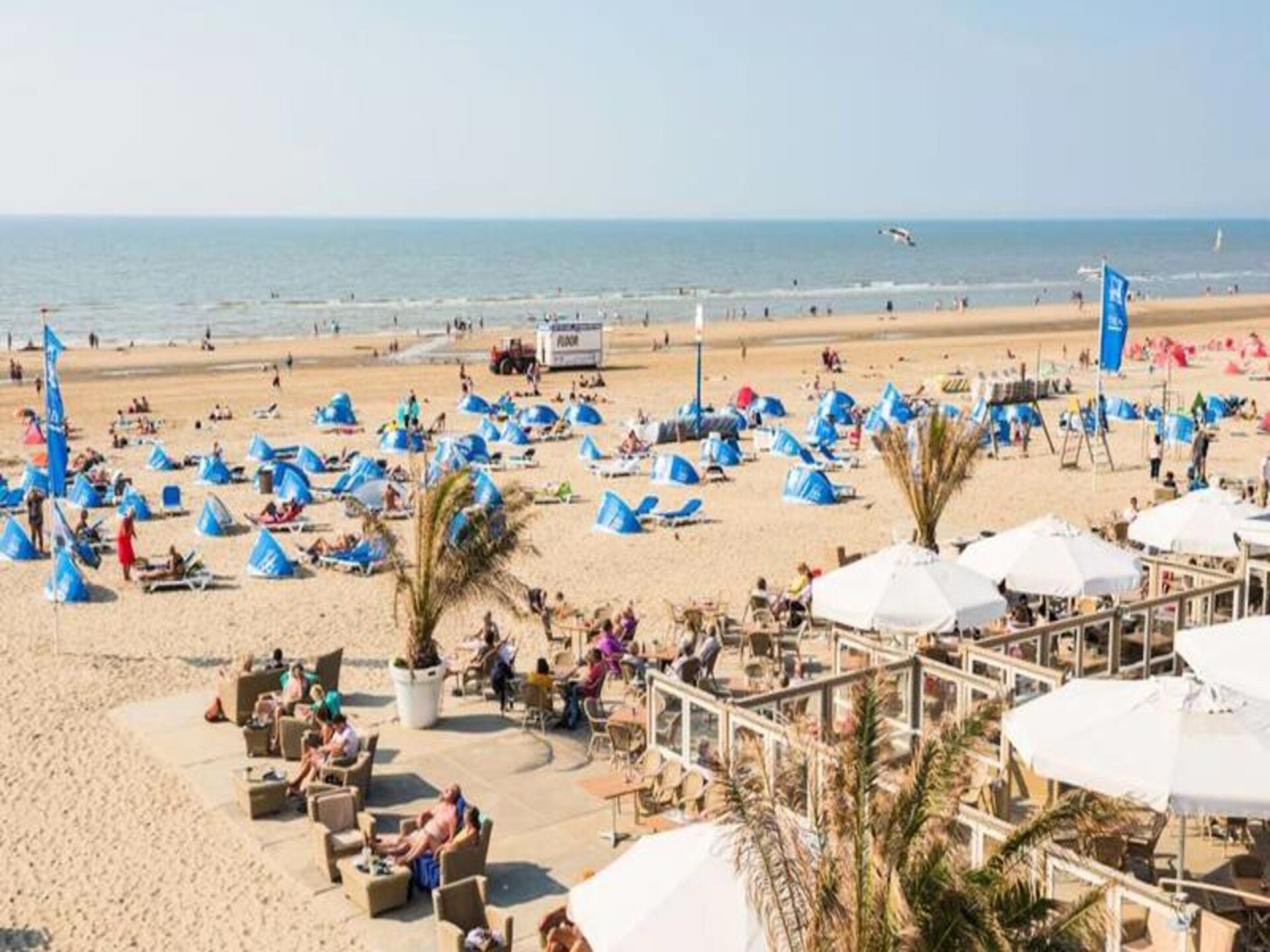 Vernieuwd familieappartement in Zandvoort met gratis parking, 7 min van het strand - foto 41