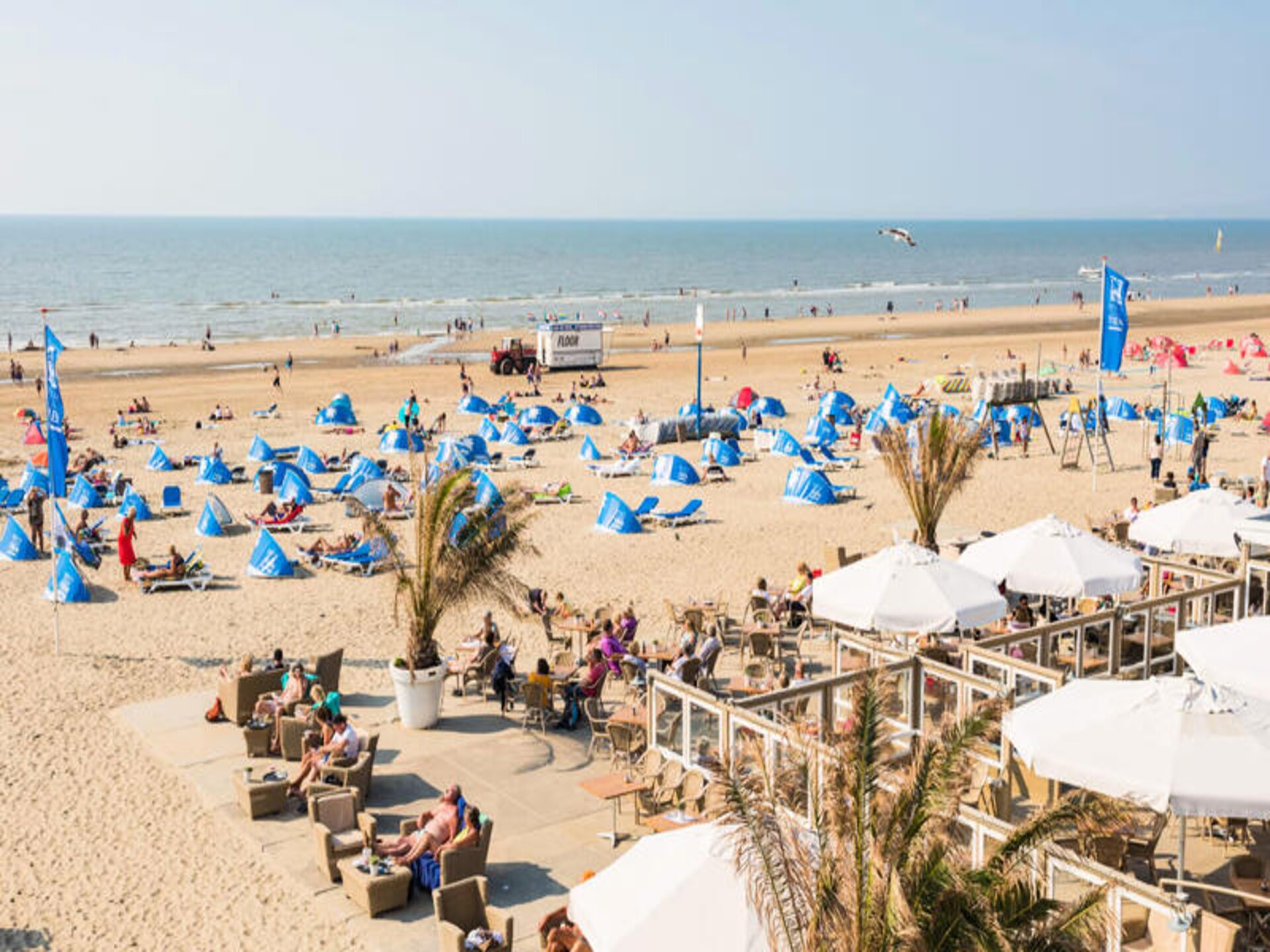 Amsterdam Dunes Holiday Home: Luxe appartement met duinuitzicht in Zandvoort - foto 28