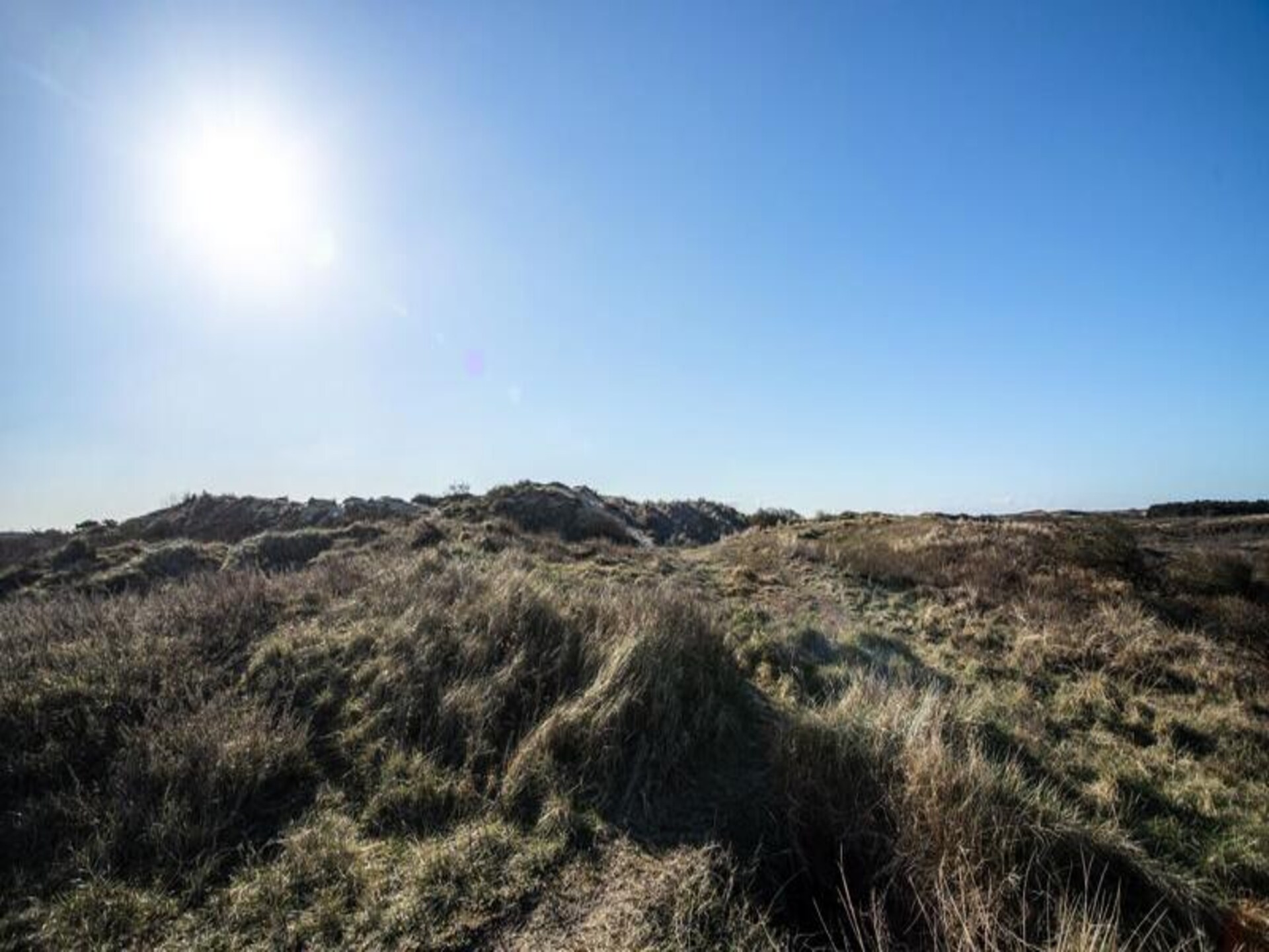 Studio Jadana – Modern strandappartement aan de duinen van Zandvoort - foto 8