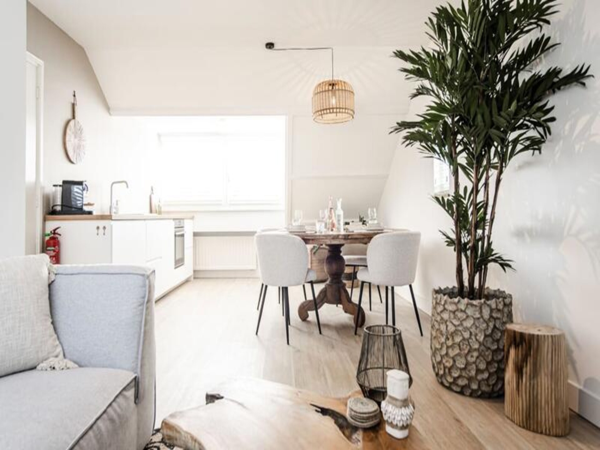 Yucca Beachhouse: Luxe loft aan de Zandvoortse kust - foto 6