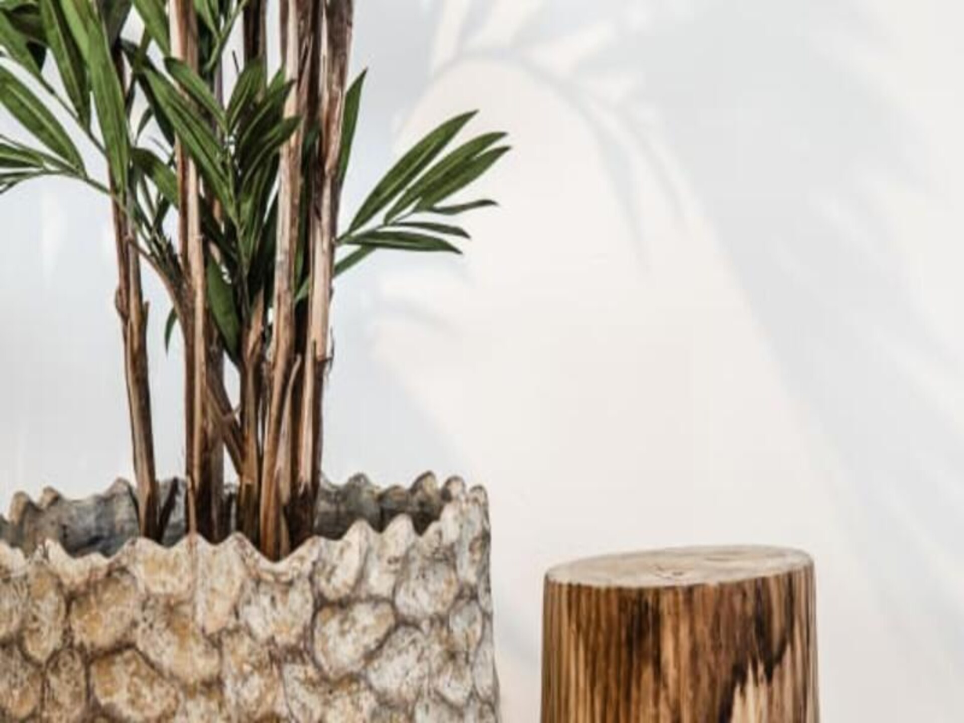 Yucca Beachhouse: Luxe loft aan de Zandvoortse kust - foto 17