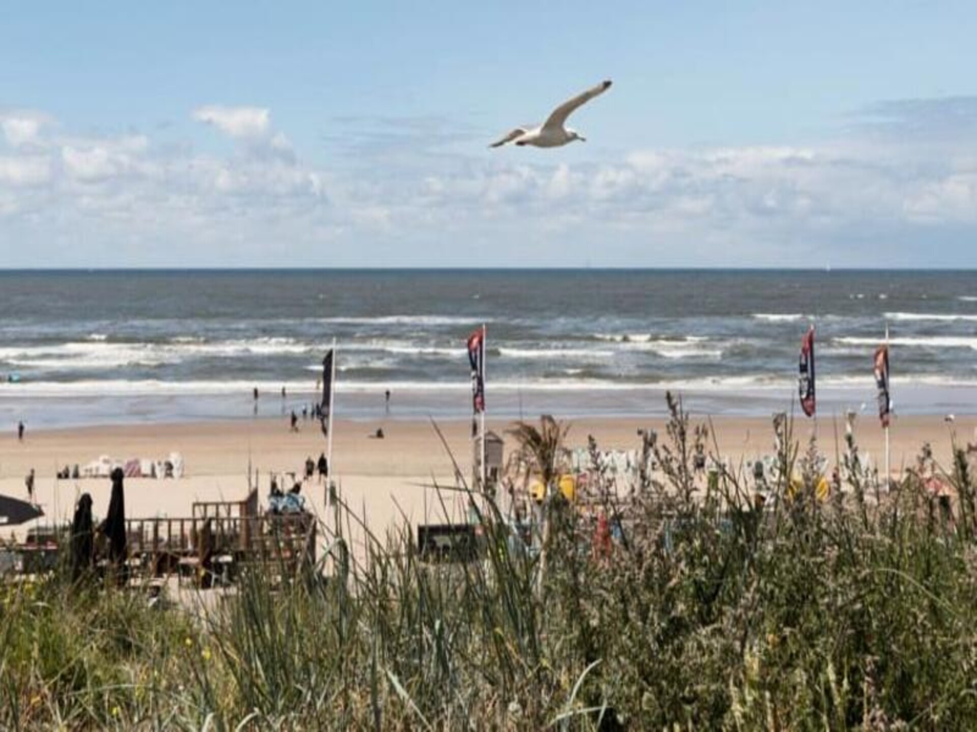Family Stay Zandvoort – Modern appartement op 250 meter van het strand - foto 45