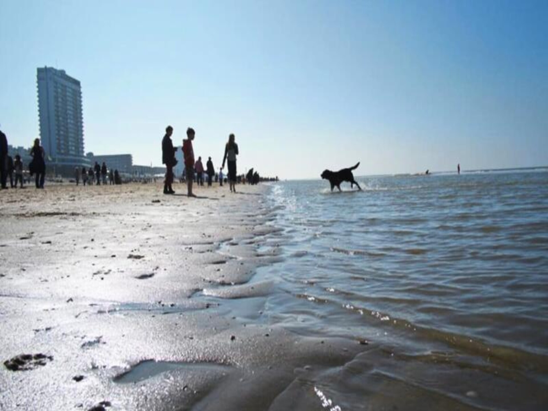 Studio Zwinkels: Intiem strandappartement op 3 minuten van de Noordzee - foto 27