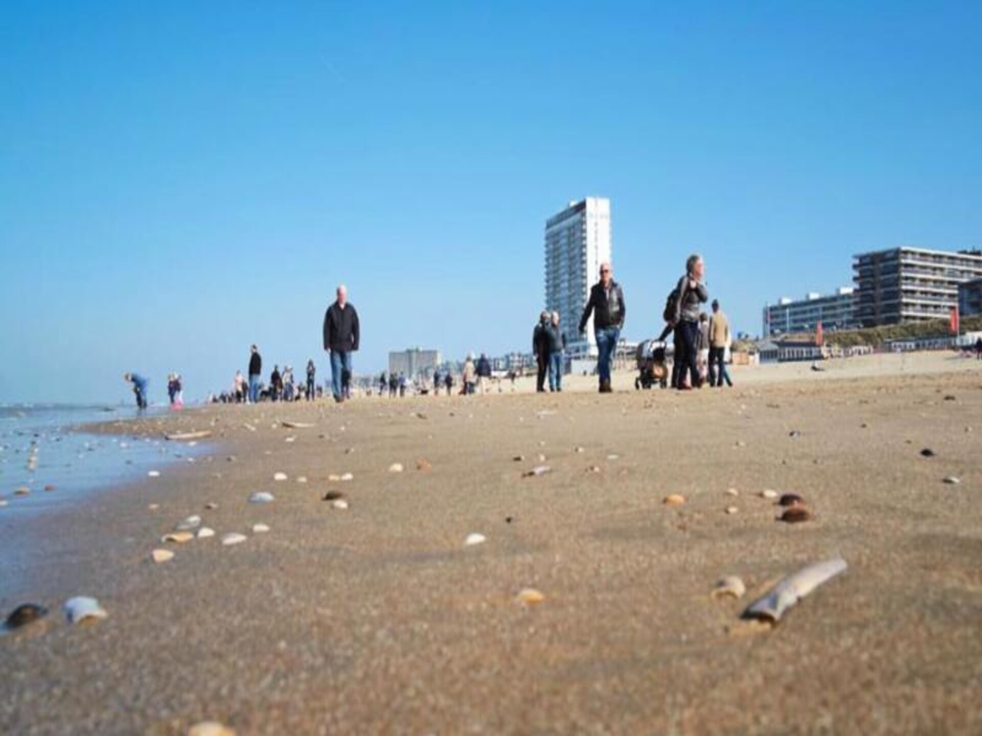 Studio Zwinkels: Intiem strandappartement op 3 minuten van de Noordzee - foto 28