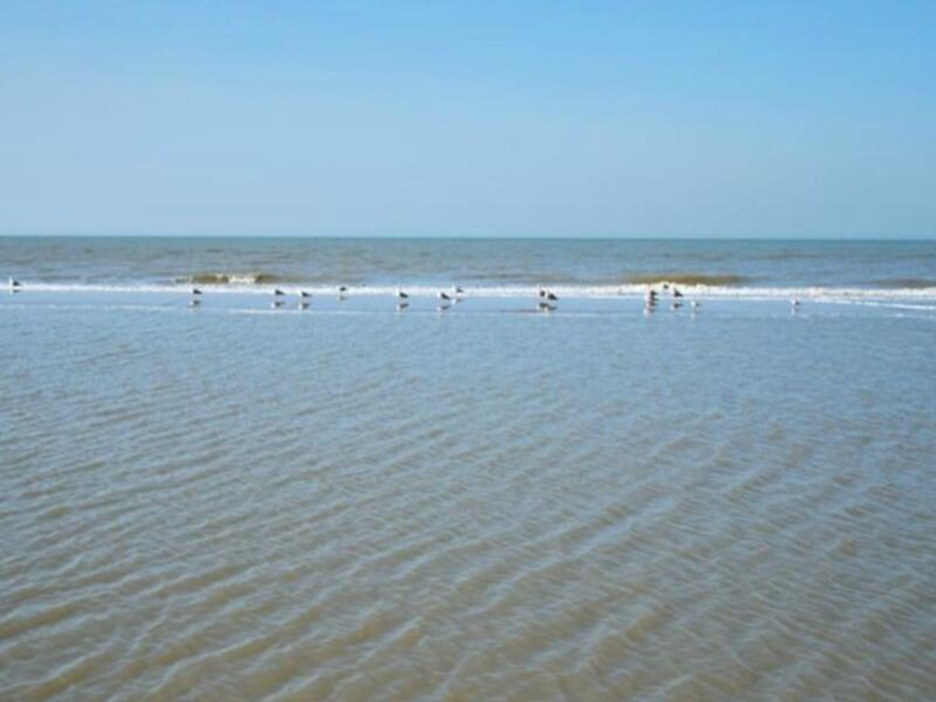 Studio Zwinkels: Intiem strandappartement op 3 minuten van de Noordzee - foto 29