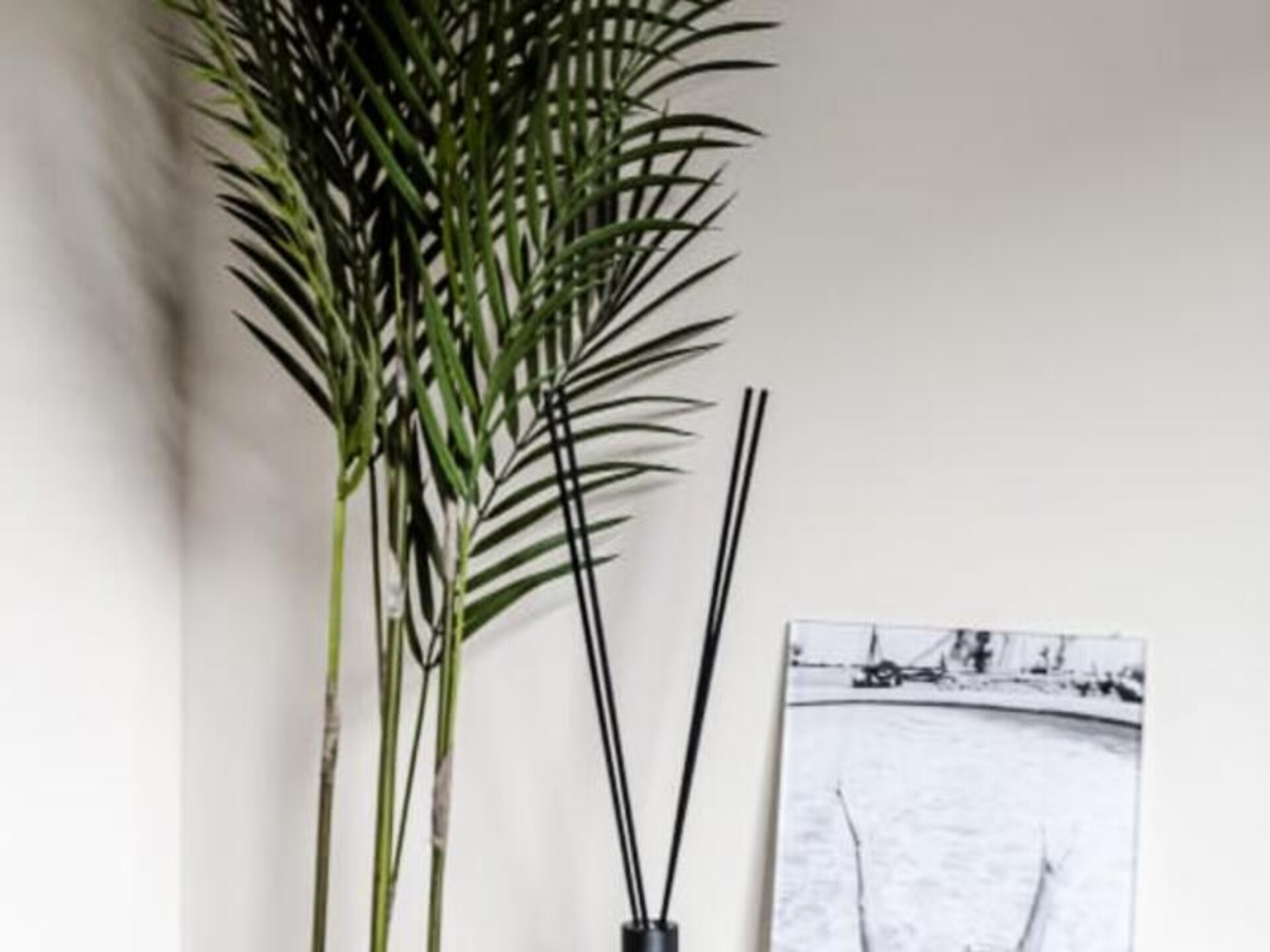 The Garden Suite: Intieme tuinstudio tegenover de Amsterdamse Duinen - foto 8