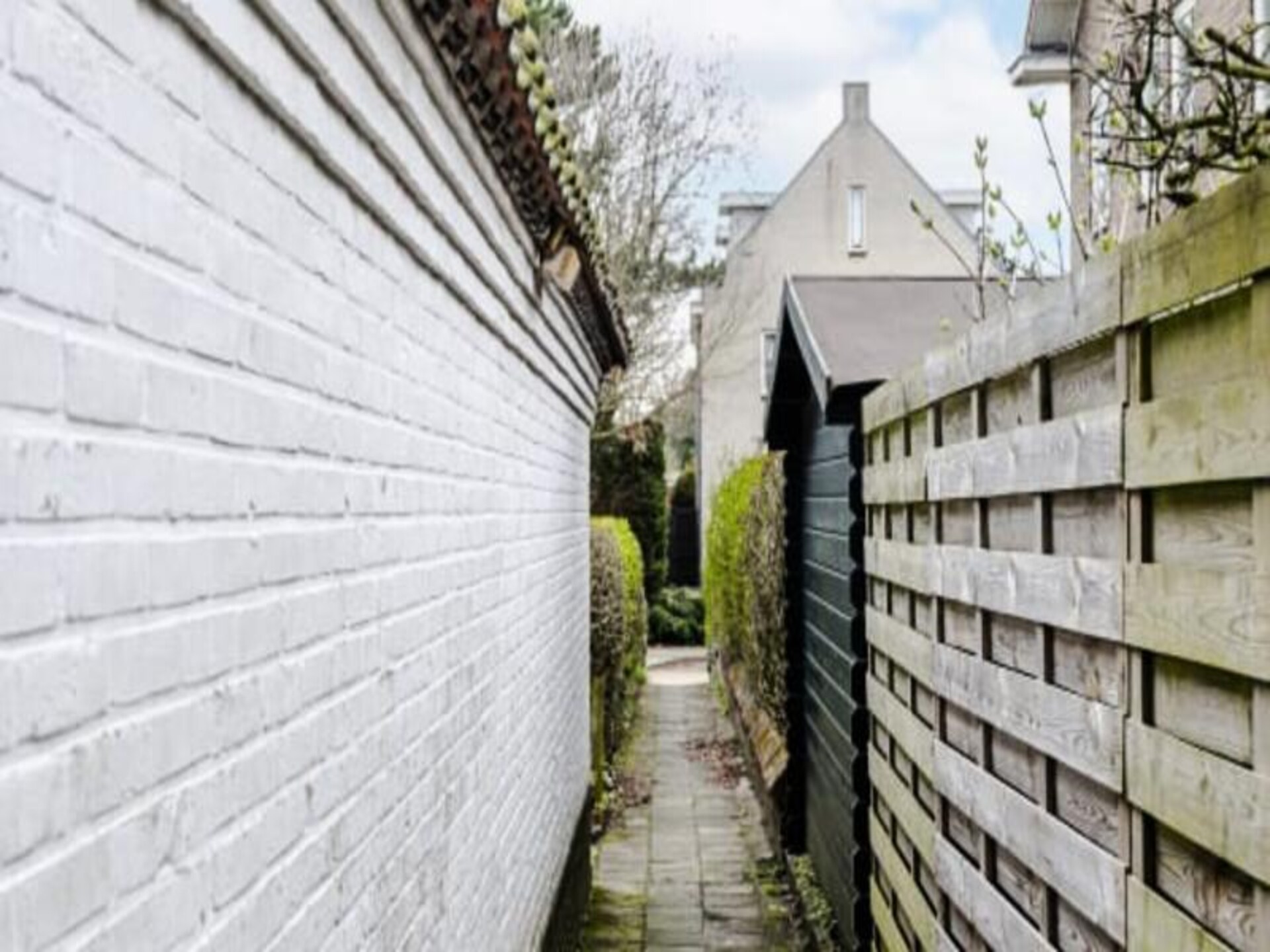 The Garden Suite: Intieme tuinstudio tegenover de Amsterdamse Duinen - foto 24