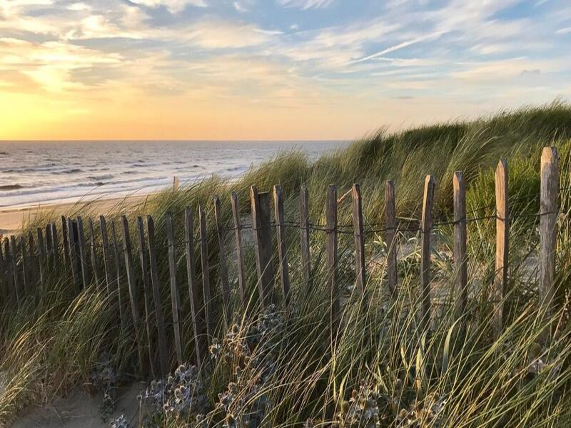 Milis Beach Cottage – Romantisch verblijf op 5 minuten van het strand van Zandvoort - foto 21