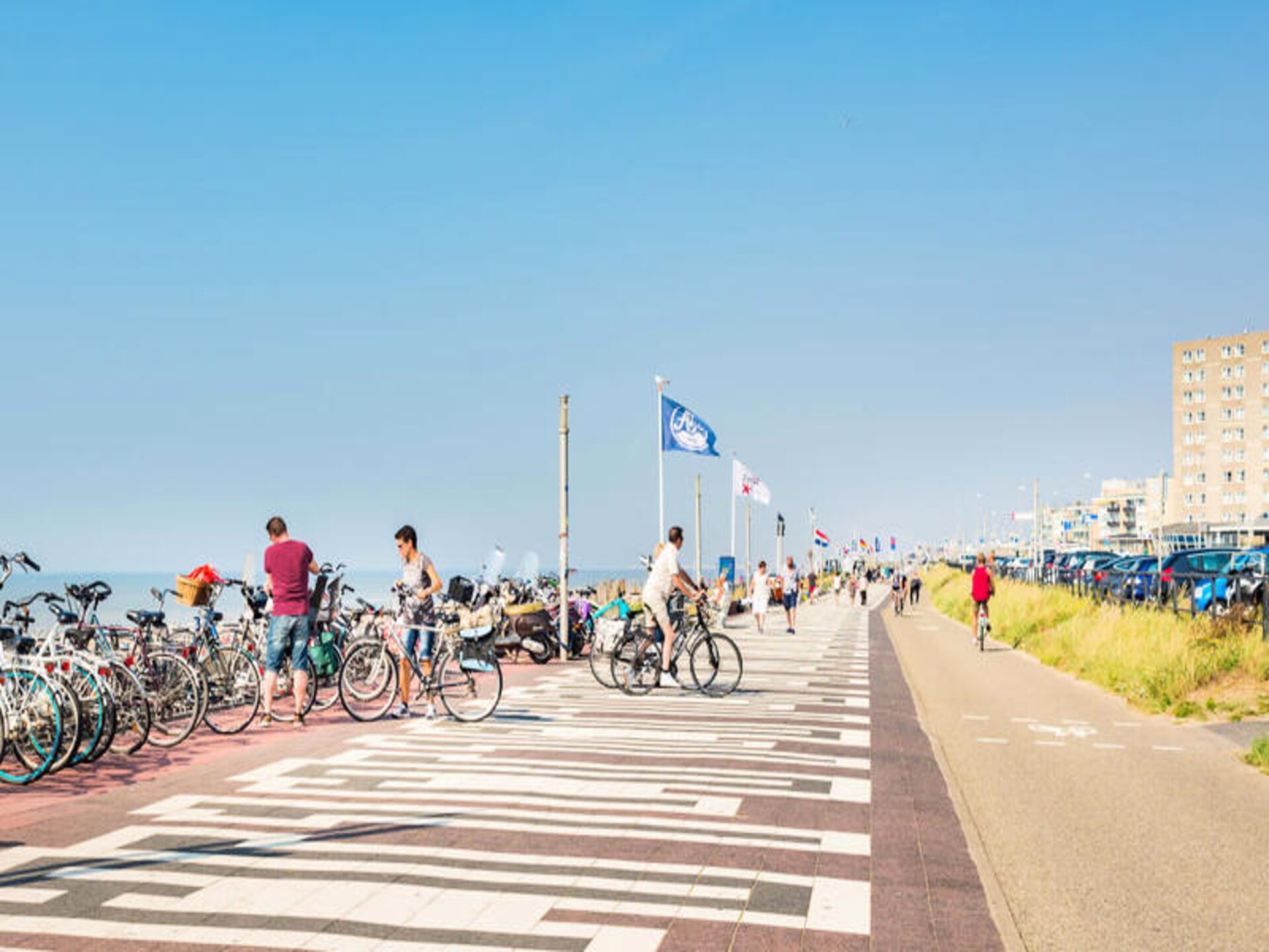 Milis Beach Cottage – Romantisch verblijf op 5 minuten van het strand van Zandvoort - foto 24
