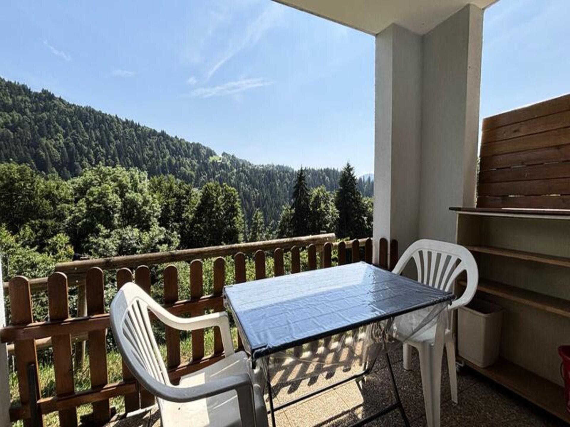 Knus appartement op zuiden met uitzicht op Mont Charvin, vlakbij de pistes - foto 16