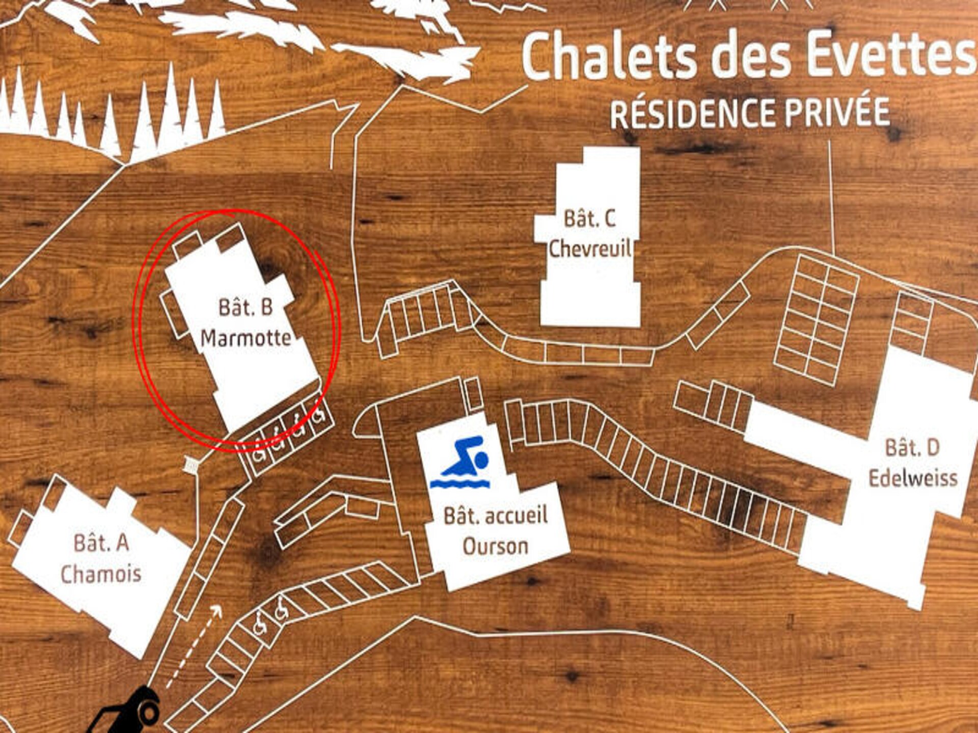 Appartement 6 pers. aan voet skipistes Espace Diamant met zwembad - foto 25