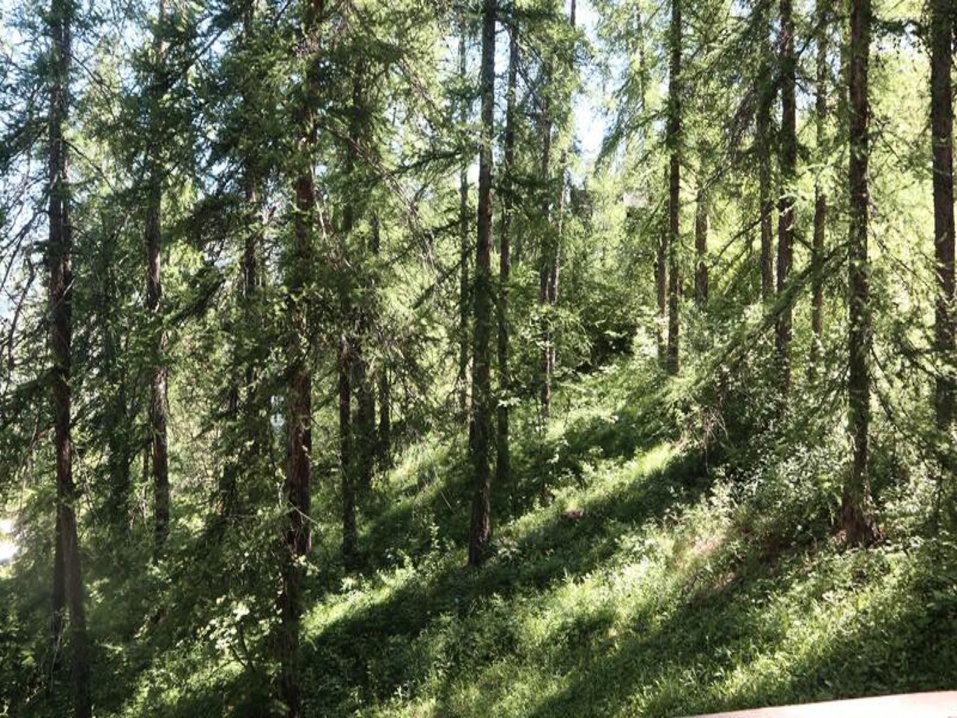 Knusse studio voor 4 met balkon en Alpenzicht nabij de liften in Les Orres - foto 8
