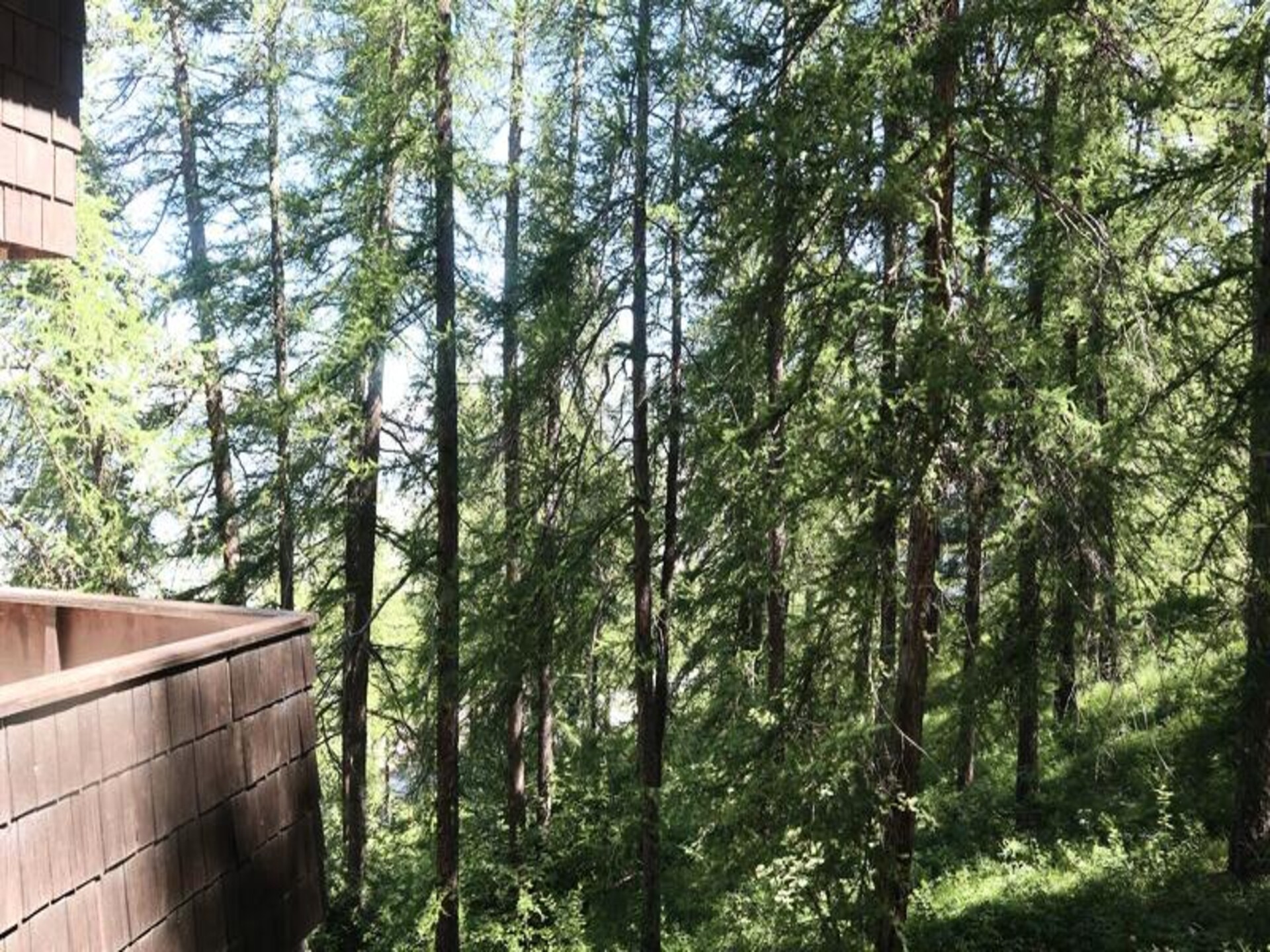 Knusse studio voor 4 met balkon en Alpenzicht nabij de liften in Les Orres - foto 9