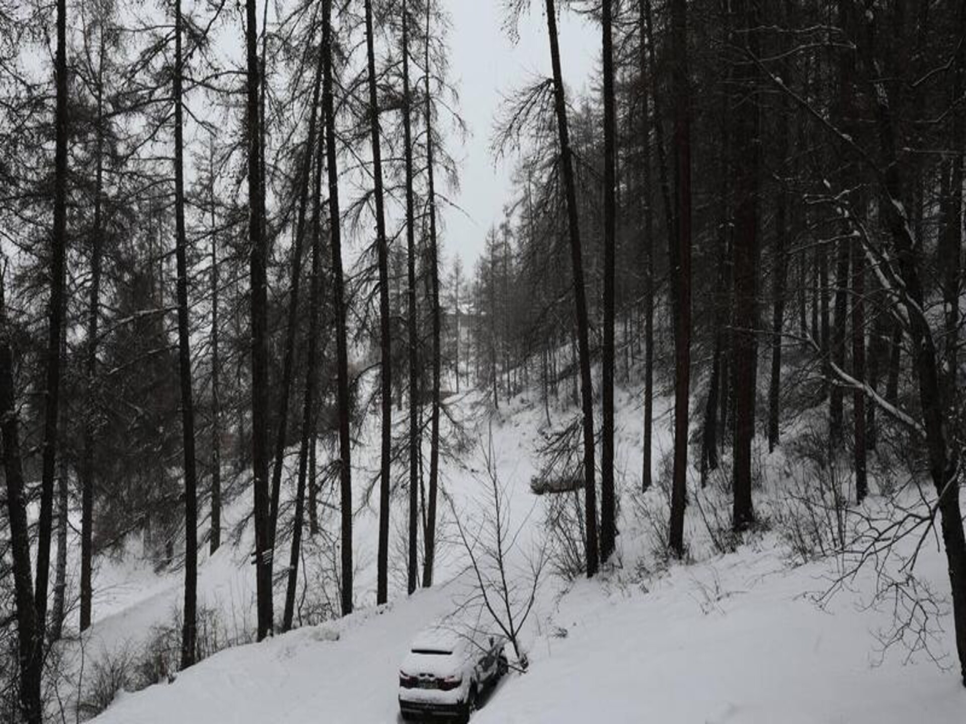 Knusse studio voor 4 personen in Les Orres, vlakbij de pistes - foto 9