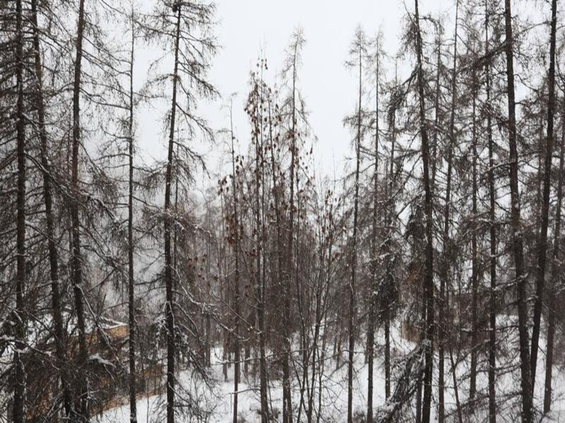 Knusse studio voor 4 personen in Les Orres, vlakbij de pistes - foto 10