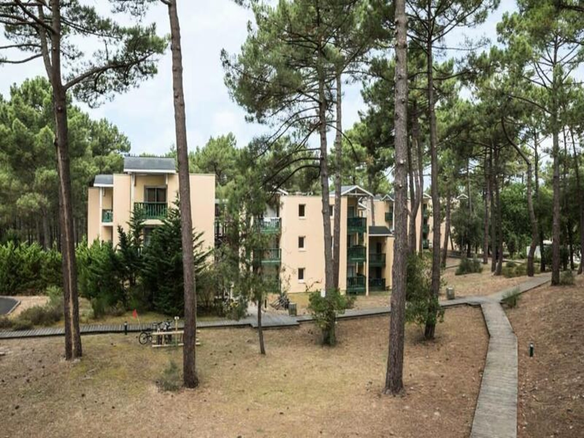 Knus appartement voor 5 in het dennenbos van Carcan-Maubuisson - foto 3
