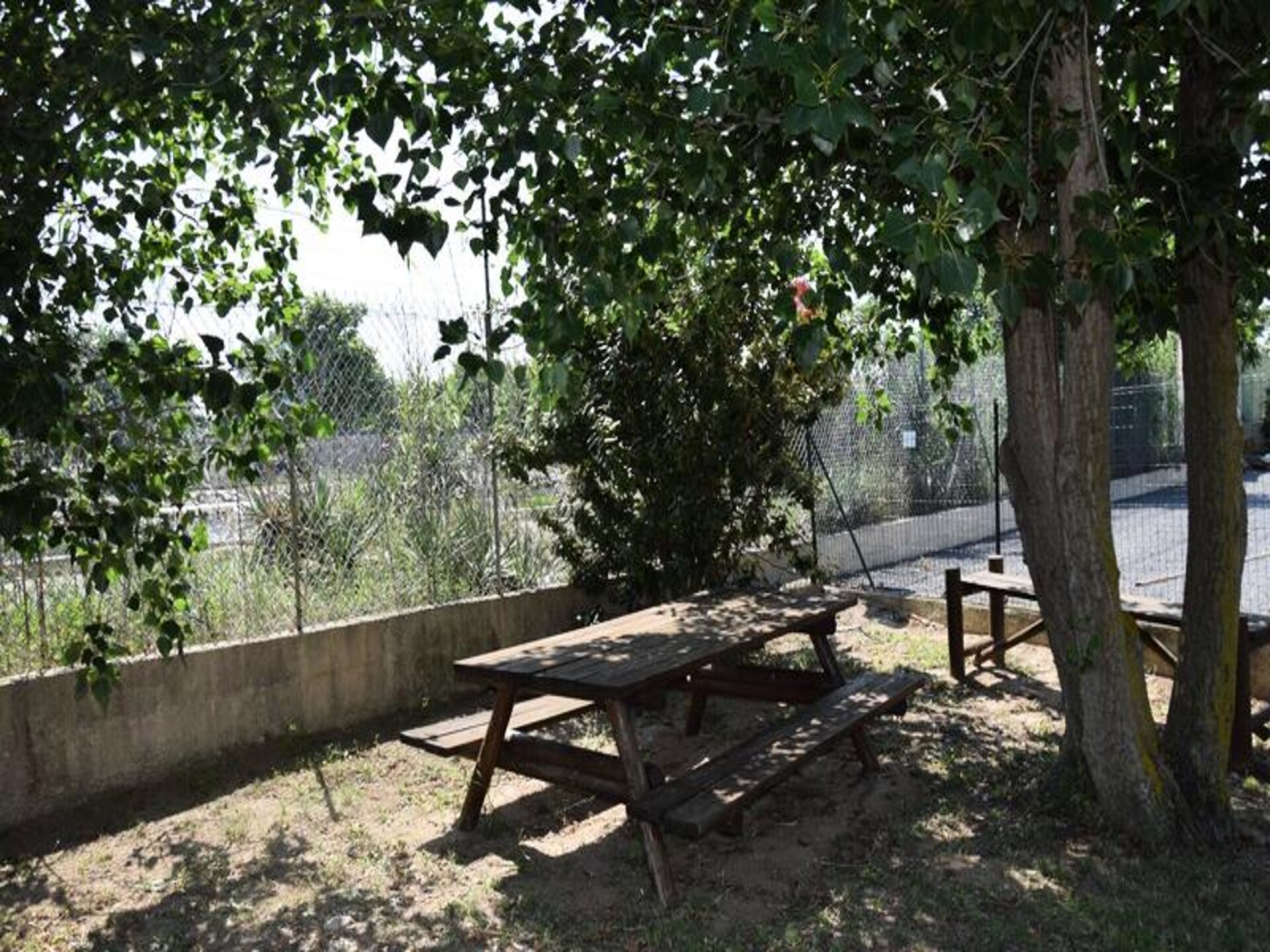 Duplex aan het kanaal in Marseillan met zwembad, vlakbij zee - foto 16