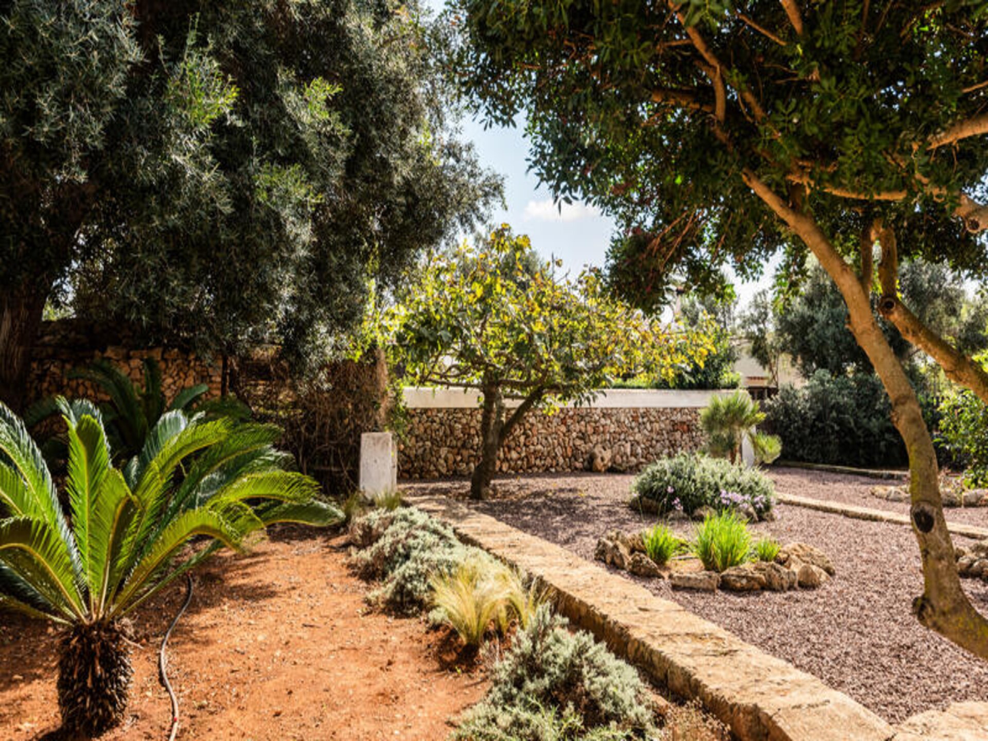 Ruim appartement met privézwembad bij strand Cala'n Blanes - foto 6