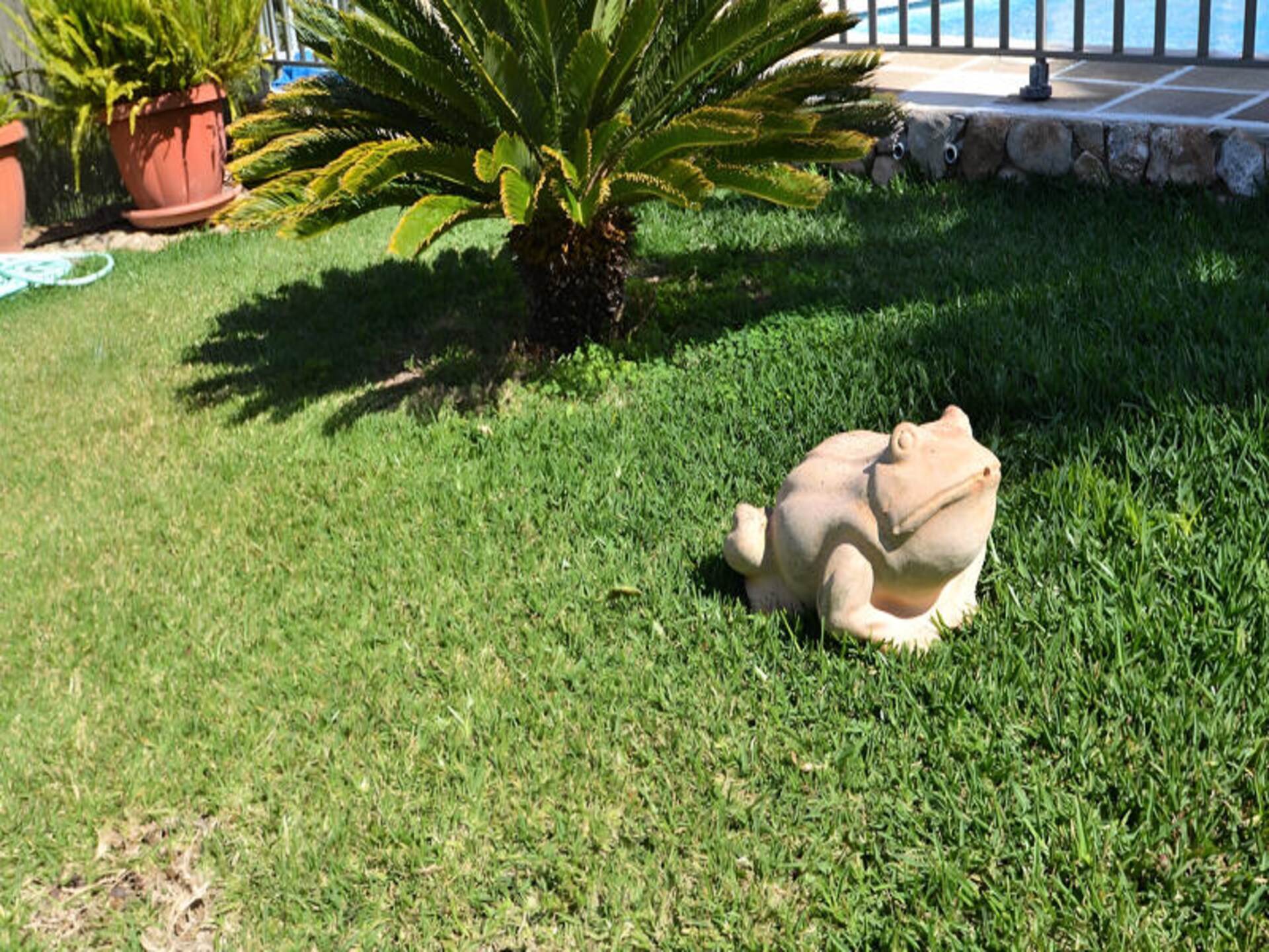 Ruim appartement bij Muro met uitzicht op de Tramuntana, 6 personen - foto 22