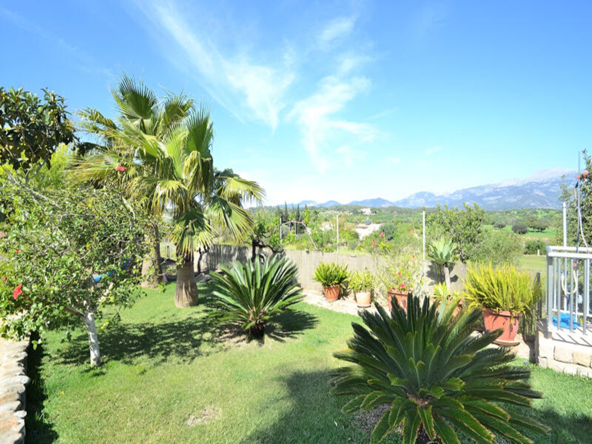 Ruim appartement bij Muro met uitzicht op de Tramuntana, 6 personen - foto 23